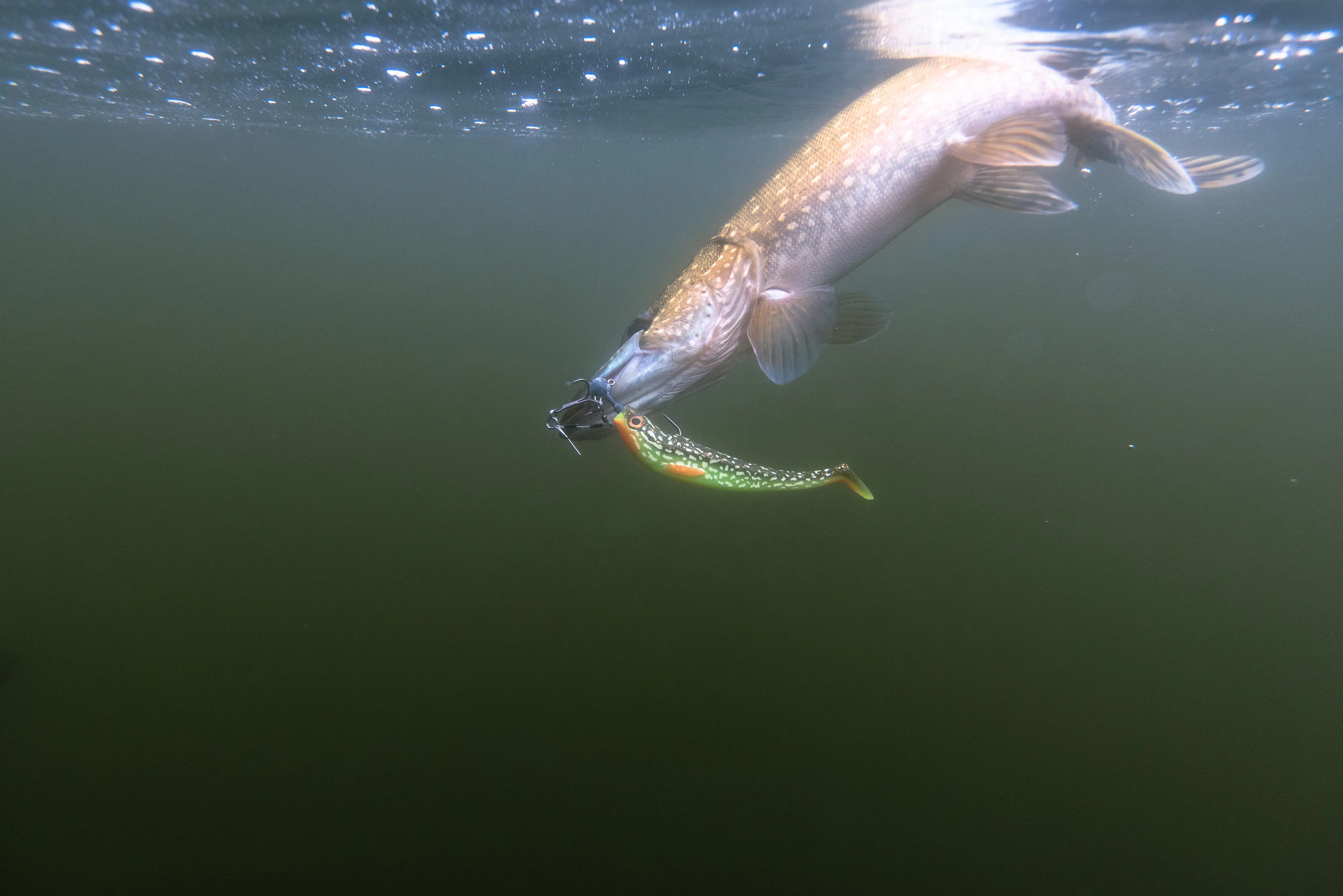 10015-soft-shad-pike-lure-x1-rogen-200-firepike-1.jpg