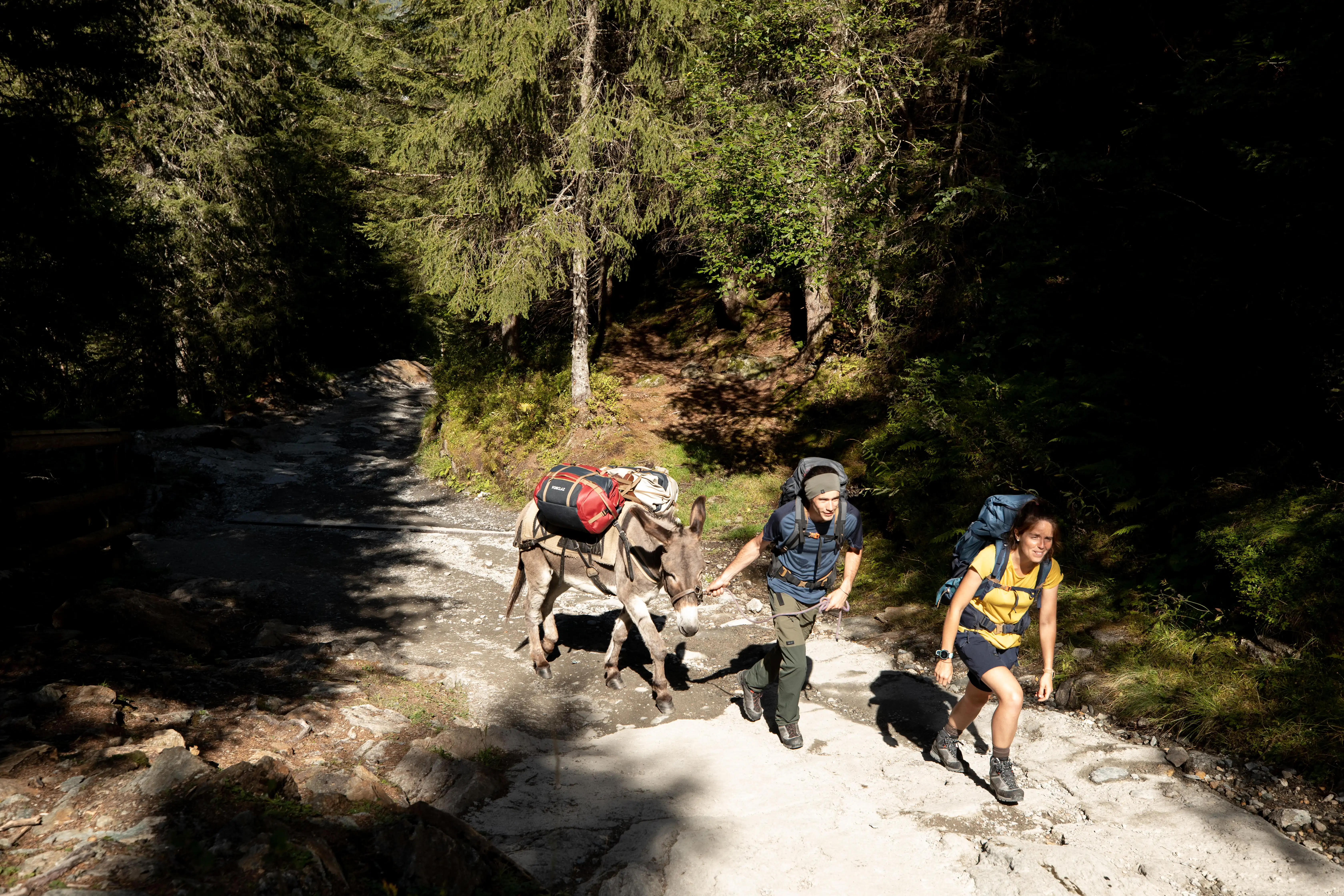 1171-hiking-bag-40-l-to-60-l-duffel-500-extend-1.jpg