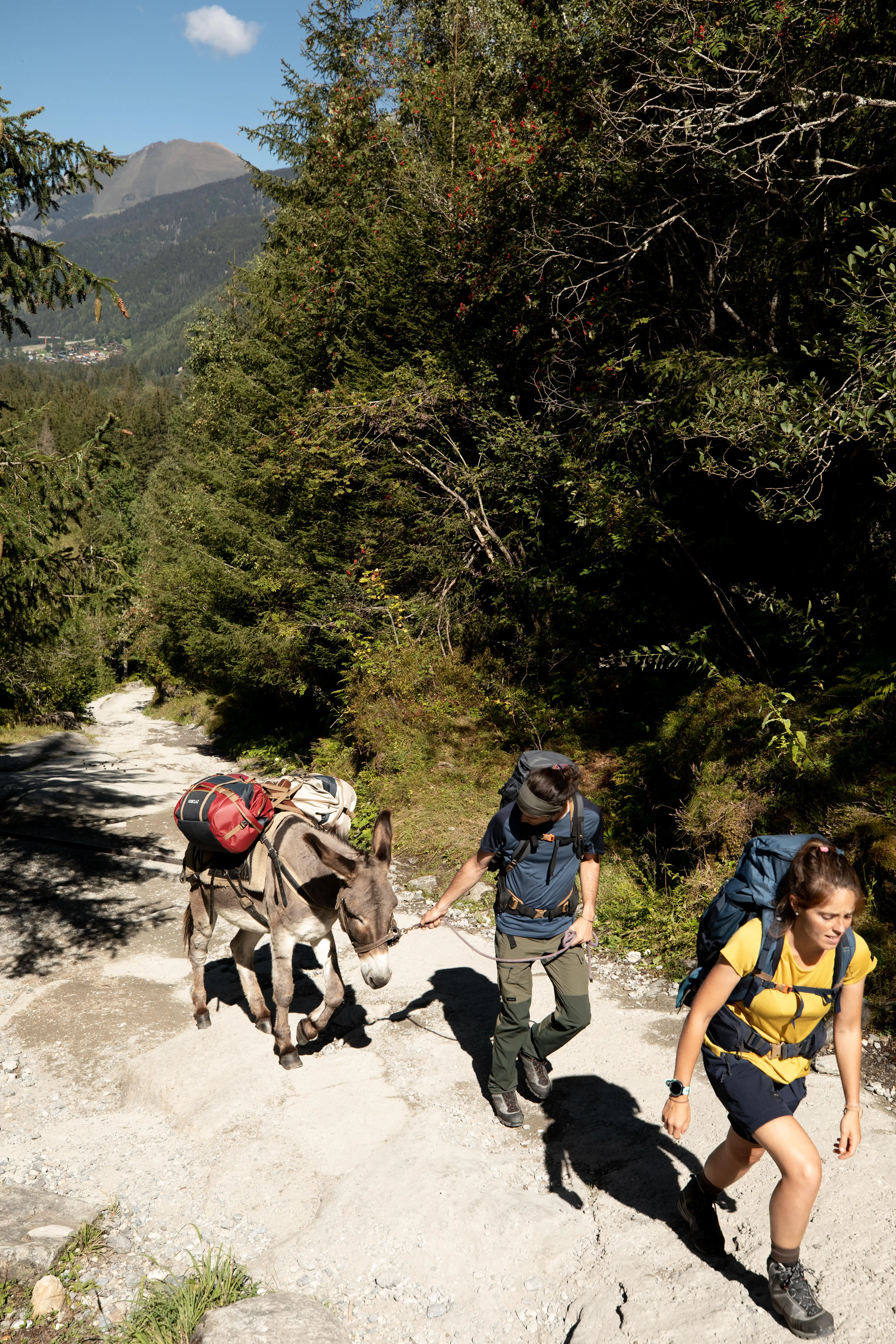 1172-hiking-bag-40-l-to-60-l-duffel-500-extend-1.jpg