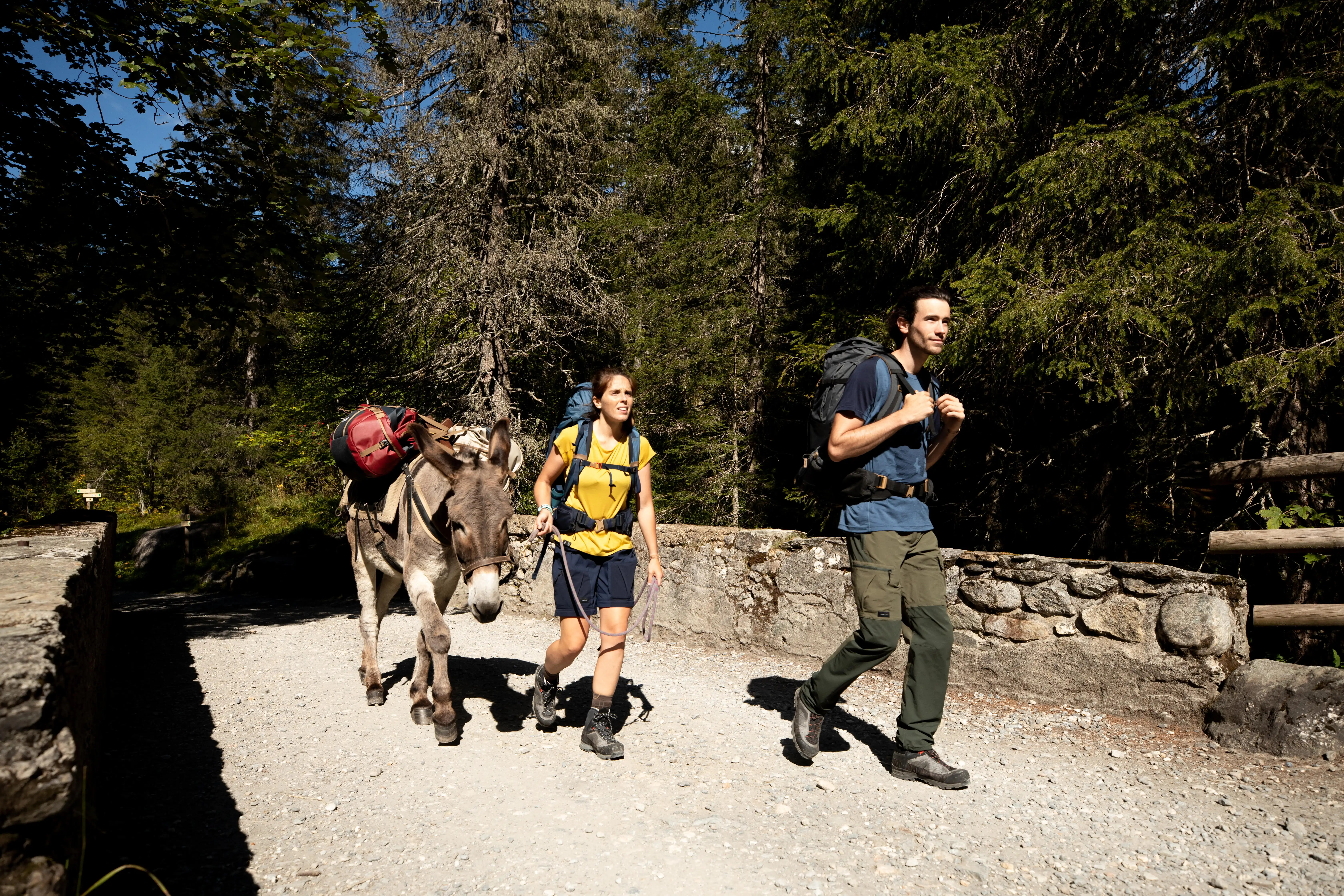 1172-hiking-bag-40-l-to-60-l-duffel-500-extend-1.jpg