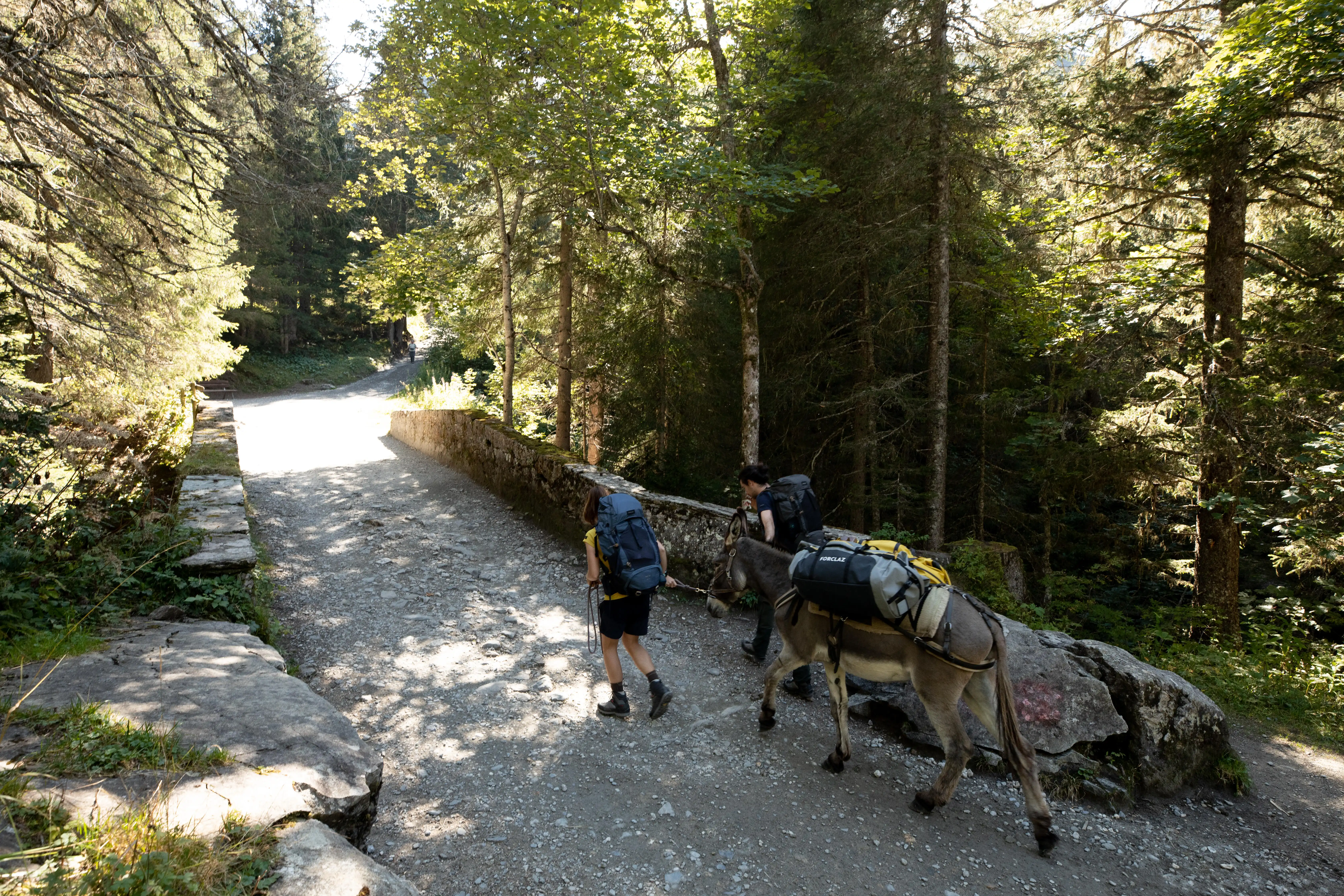 1173-hiking-bag-80-l-to-120-l-500-extend-1.jpg