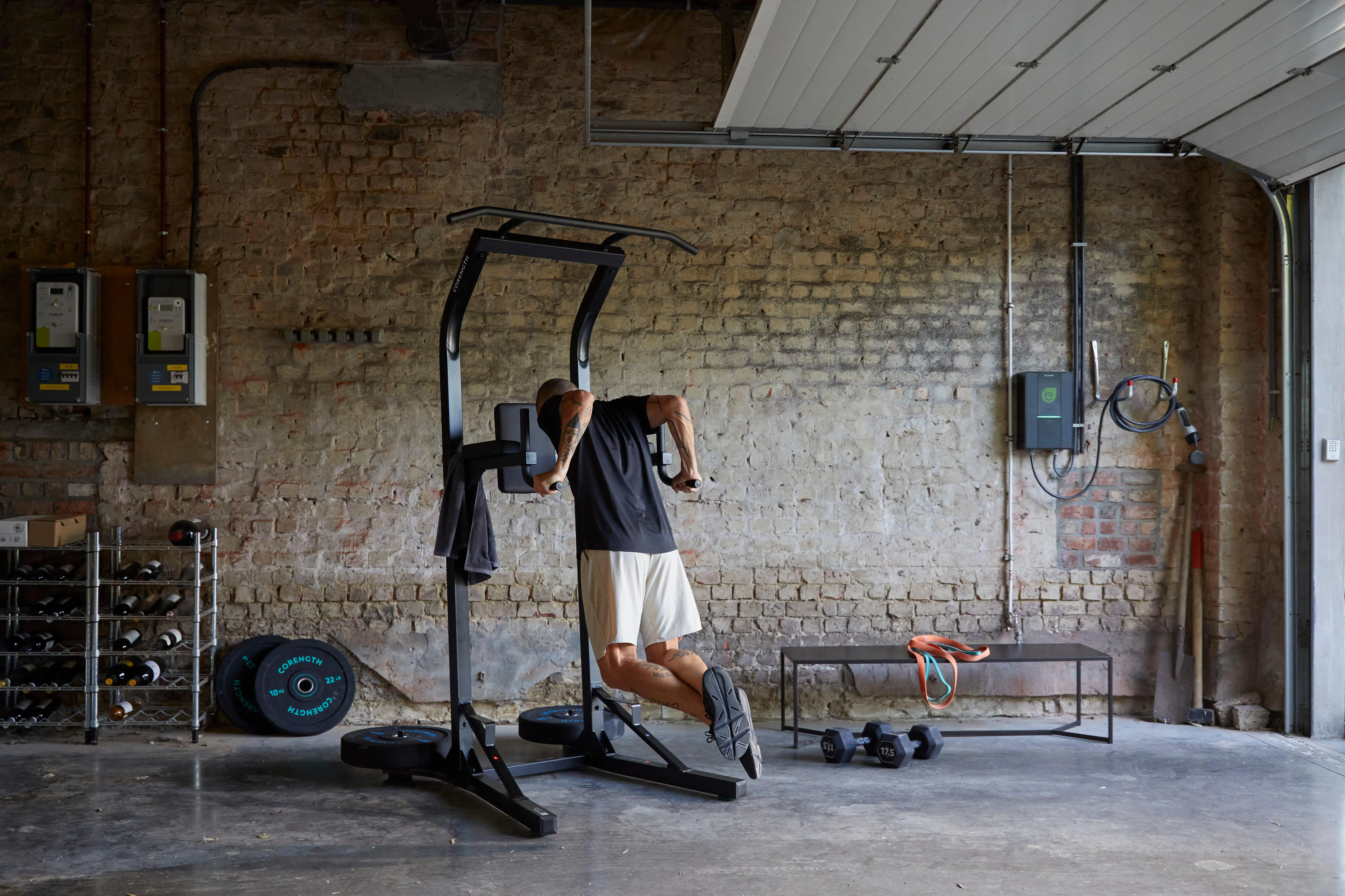 11732-pull-up-and-dip-station-ts-900-1.jpg