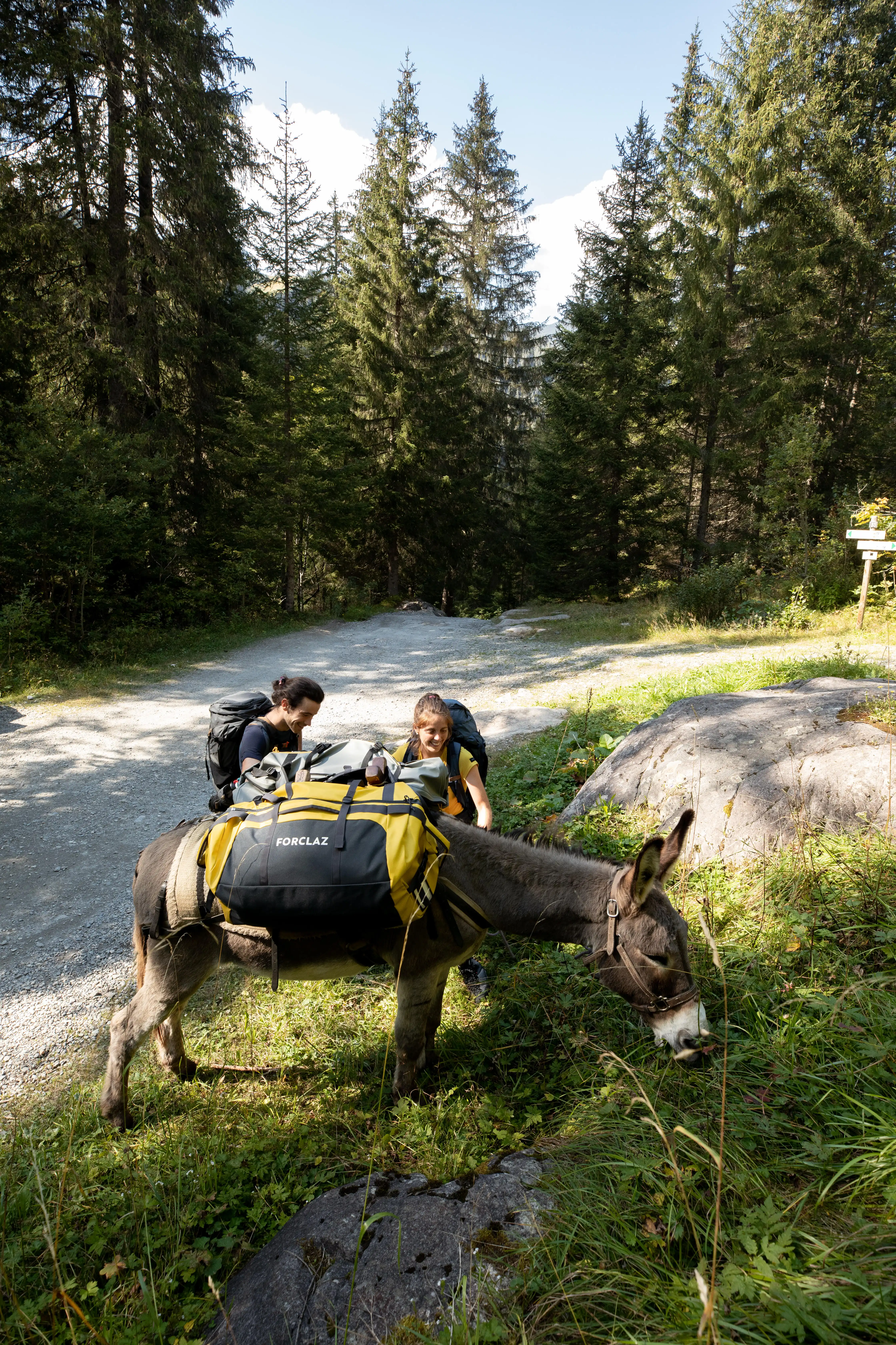 1174-hiking-bag-80-l-to-120-l-500-extend-1.jpg