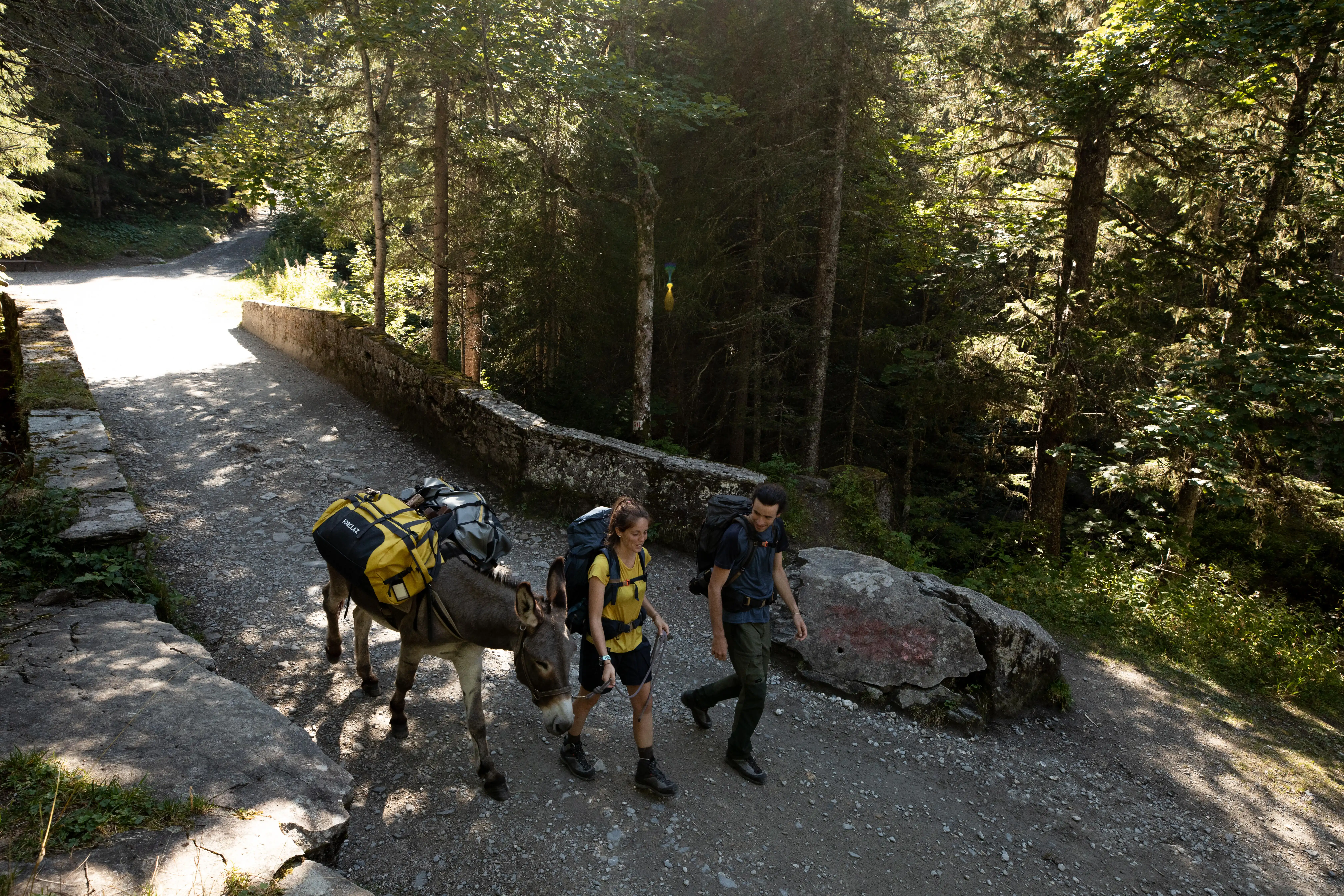 1174-hiking-bag-80-l-to-120-l-500-extend-1.jpg