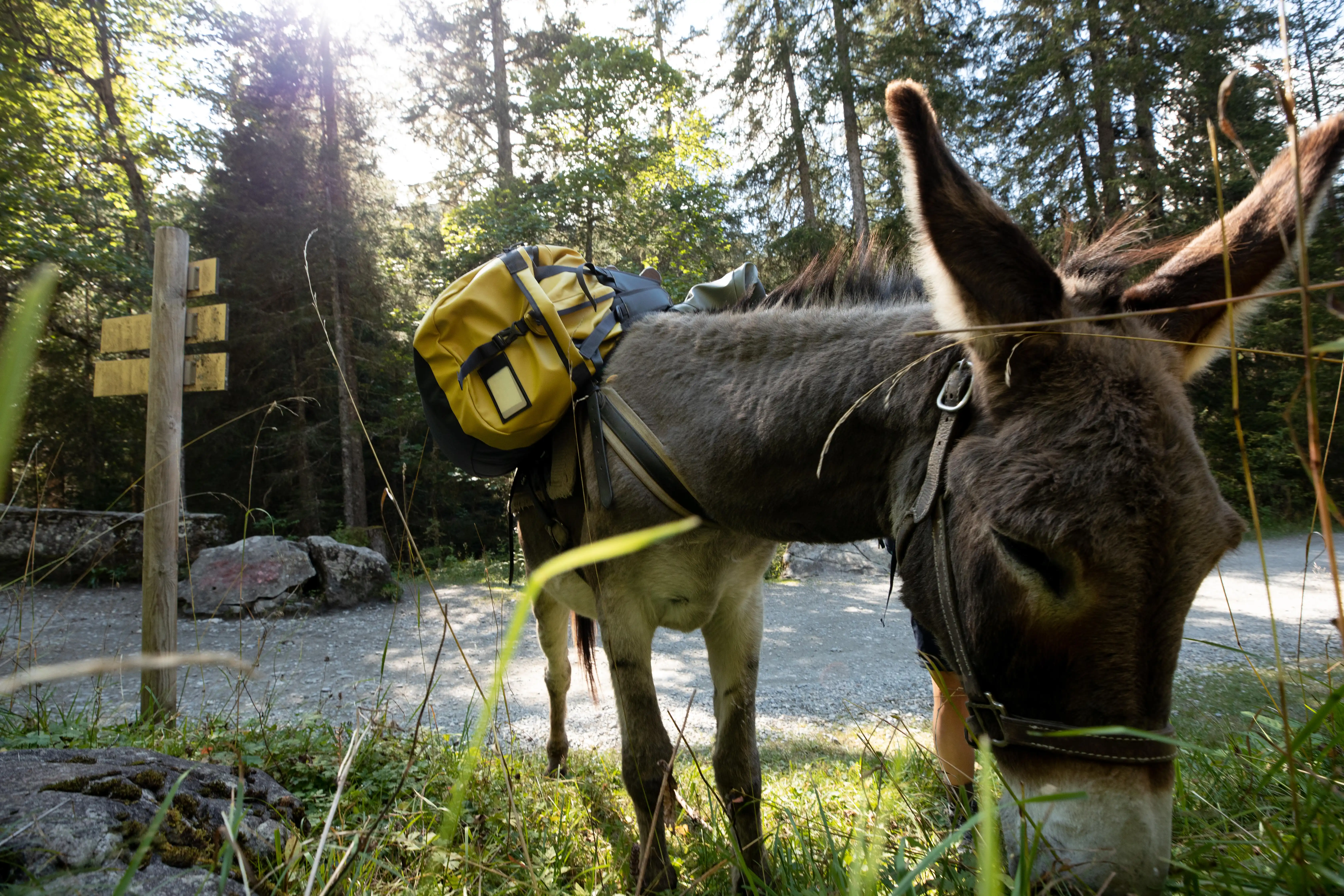 1174-hiking-bag-80-l-to-120-l-500-extend-1.jpg