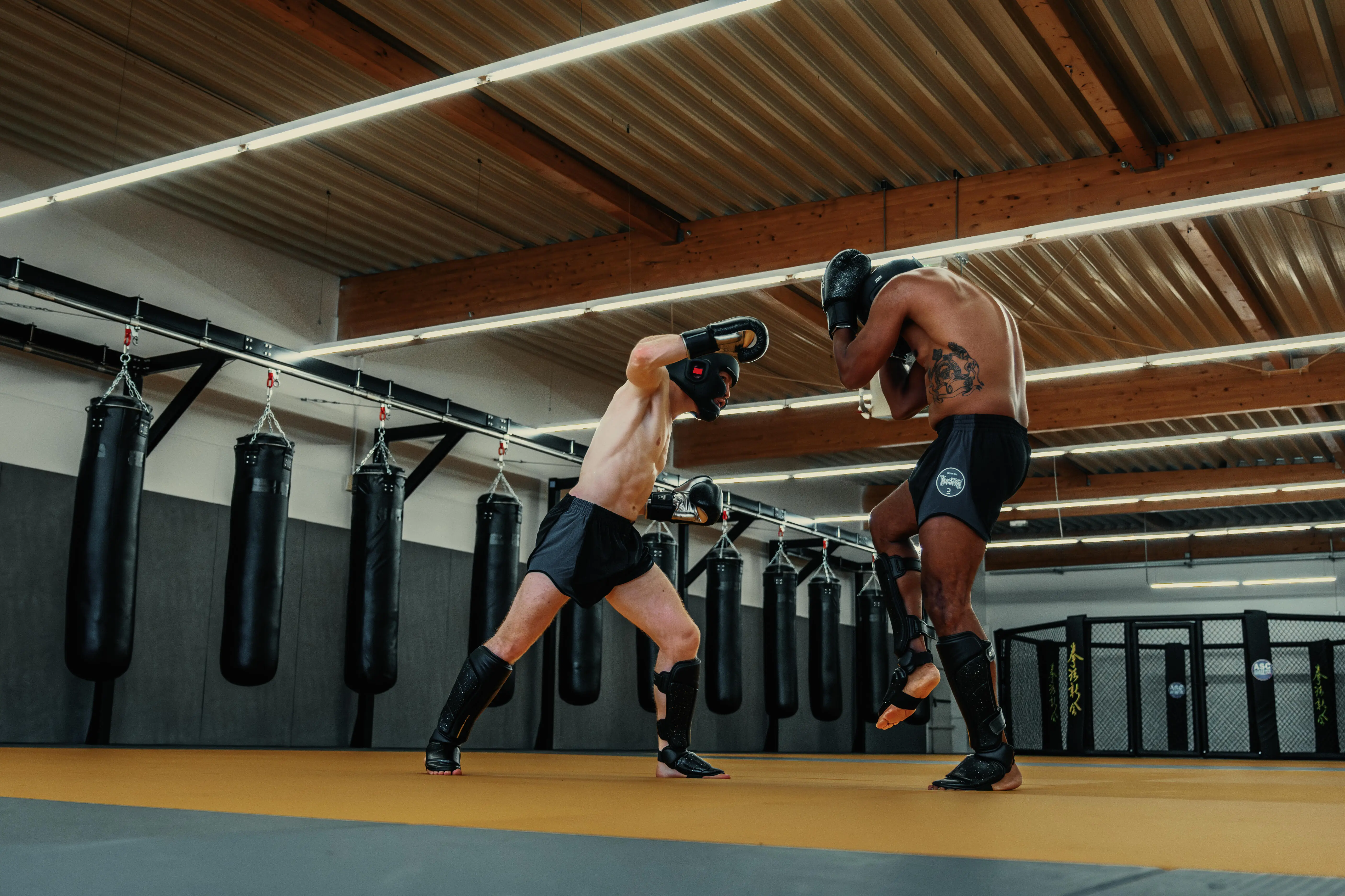 12094-kickboxing-muay-thai-gloves-500-1.jpg