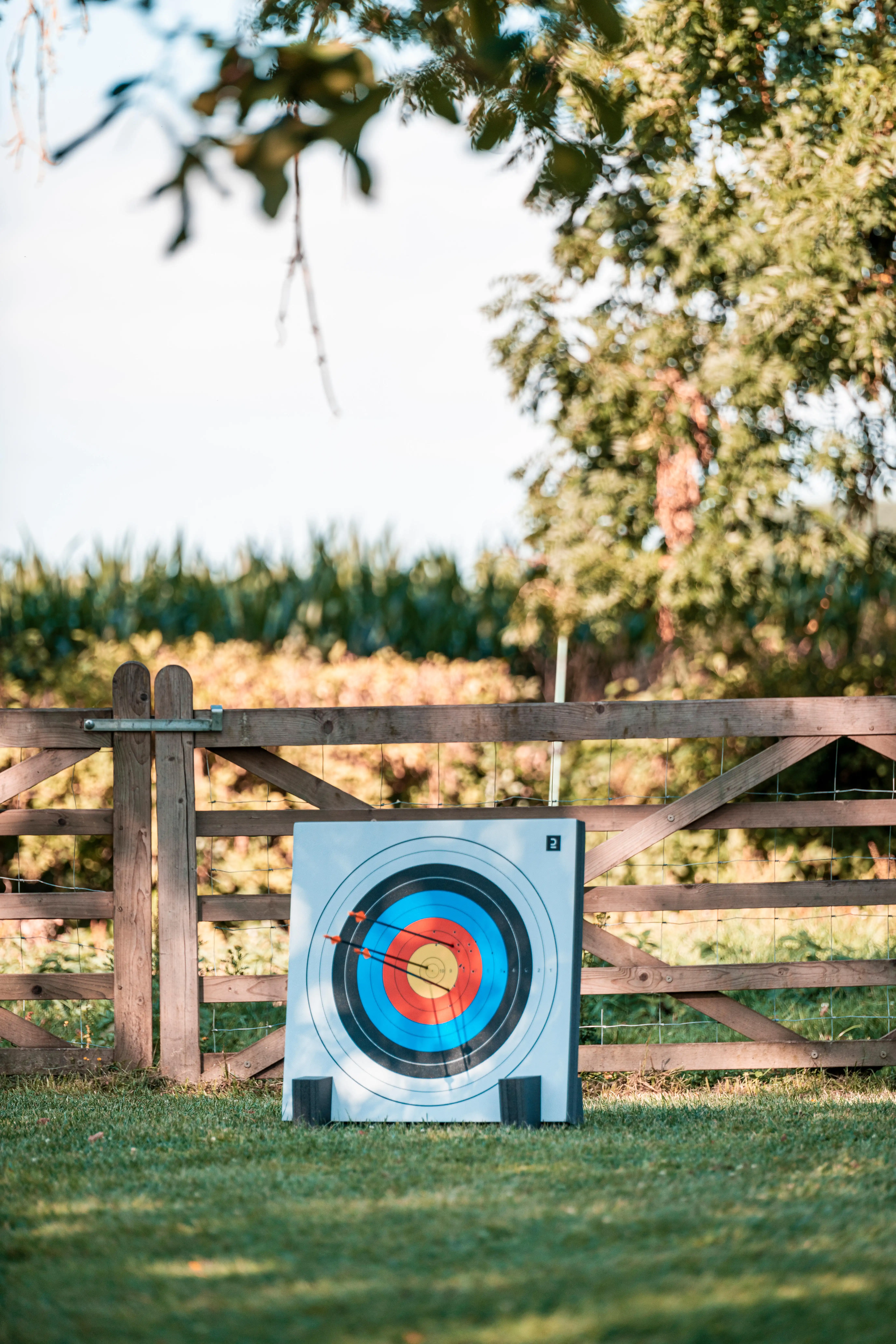 1238-steel-archery-target-discovery-67×67-1.webp