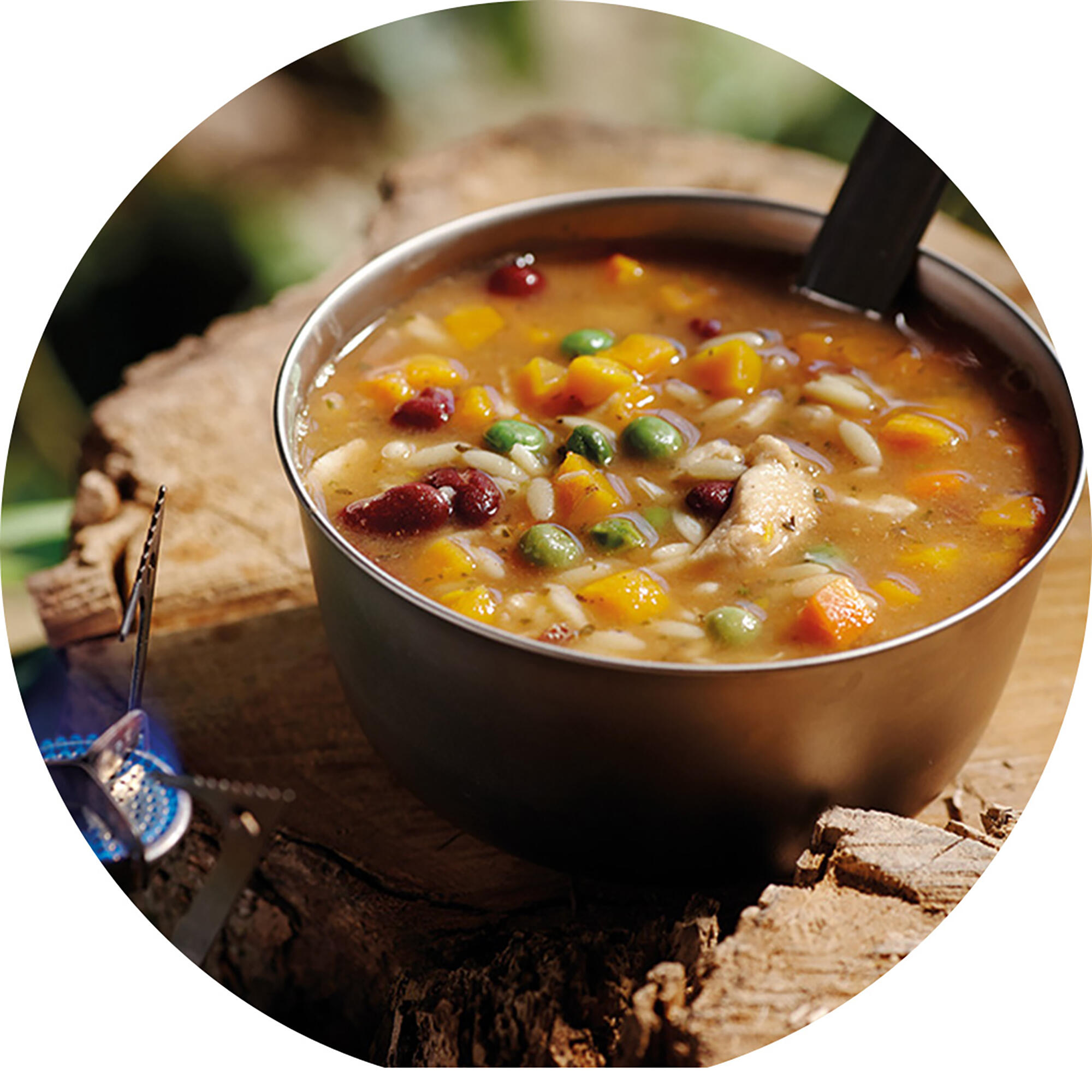 Chicken Orzo Stew