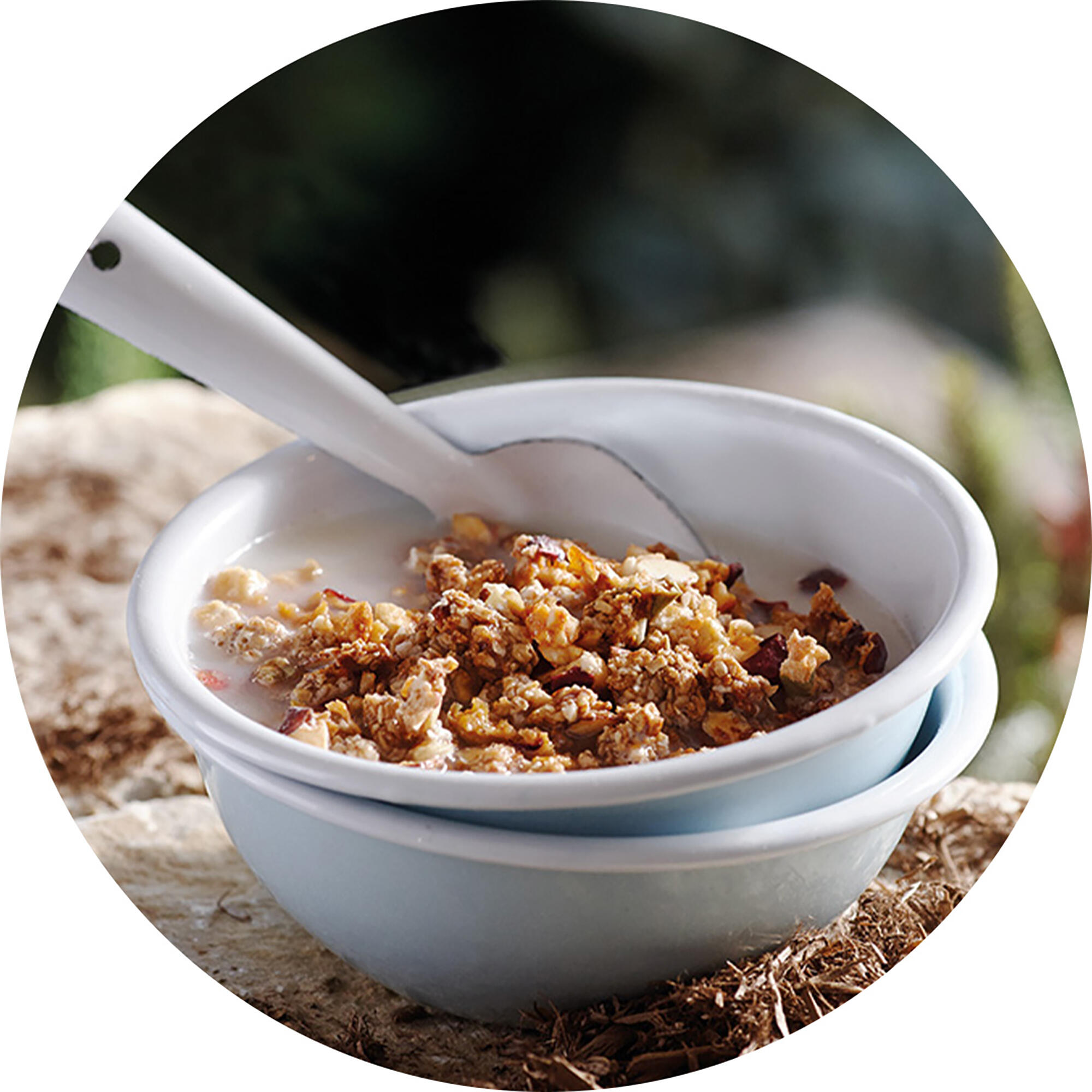 Apple Cinnamon Granola (Vegetarian)