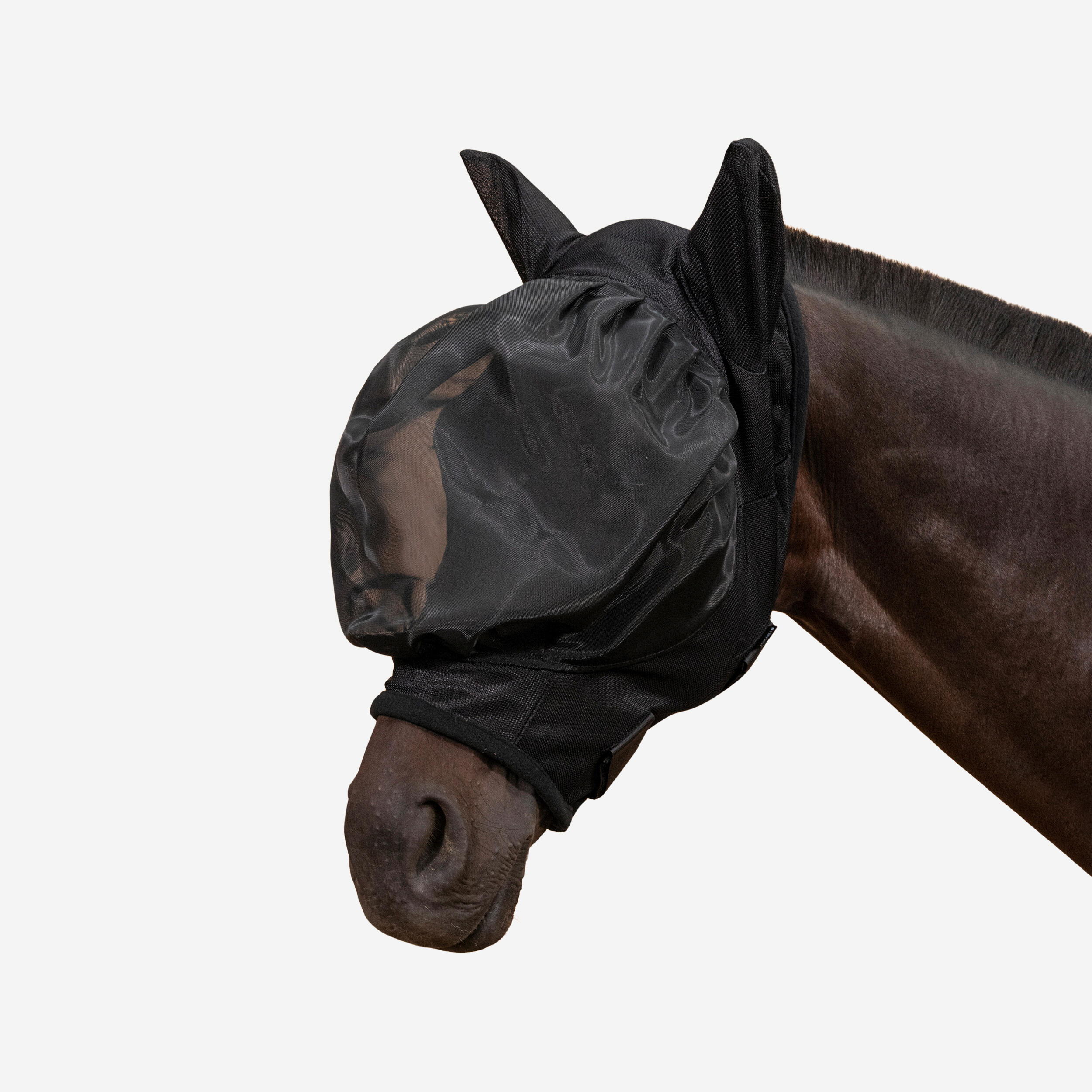Horse Riding Fly Mask for Horse - 500