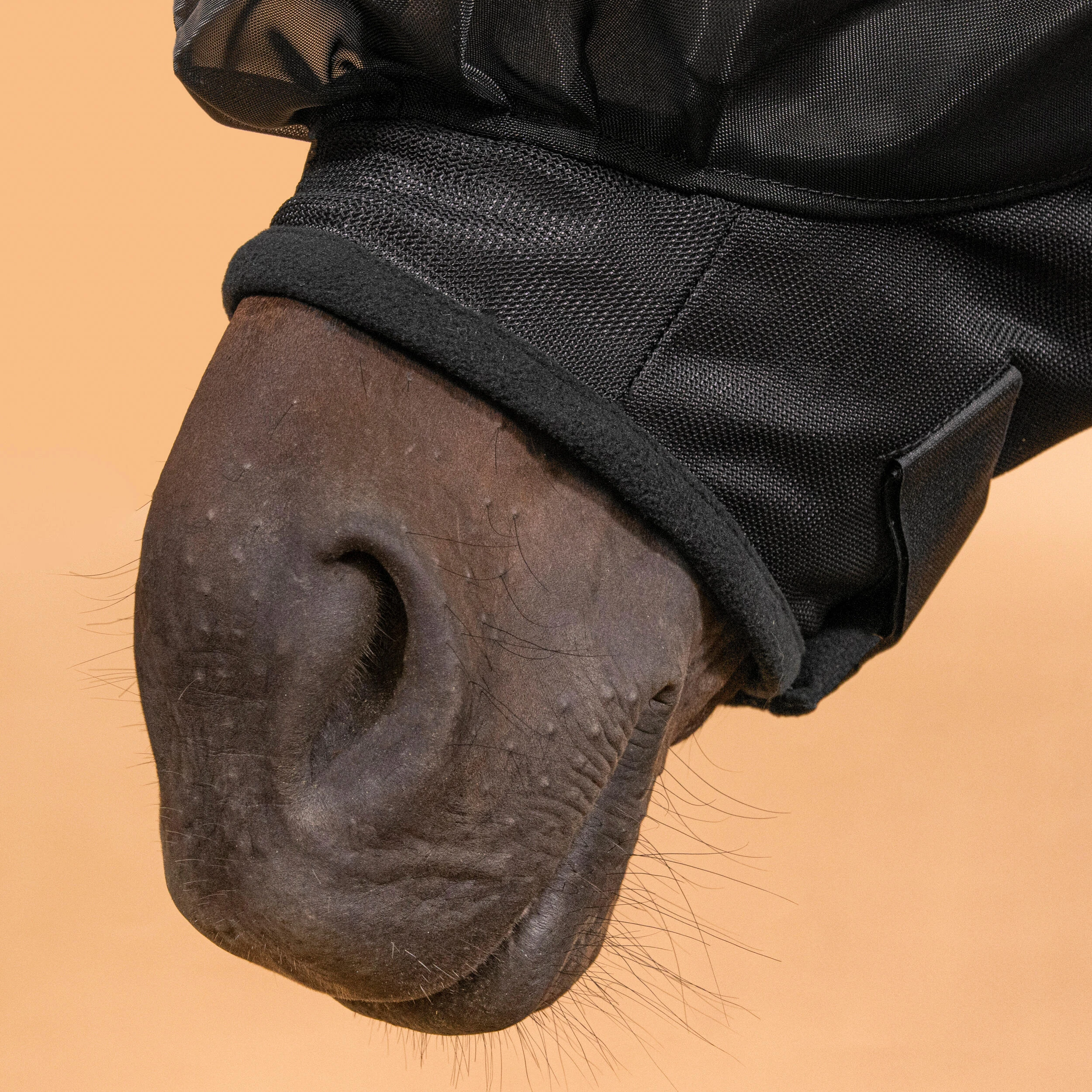 12510-horse-riding-fly-mask-for-horse-500-1.jpg