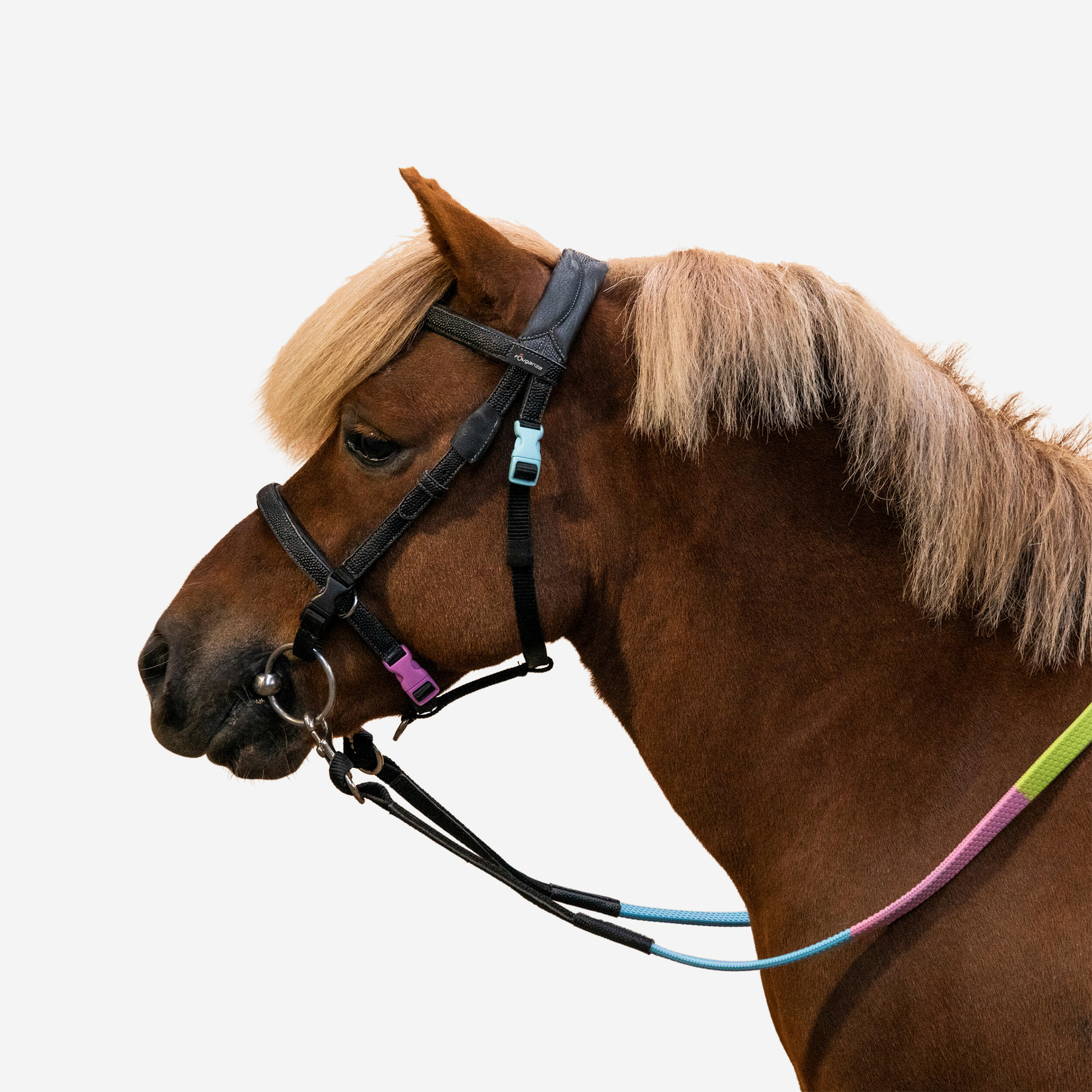 Pony Riding Synthetic Beginner Bridle and Reins - 100 Black