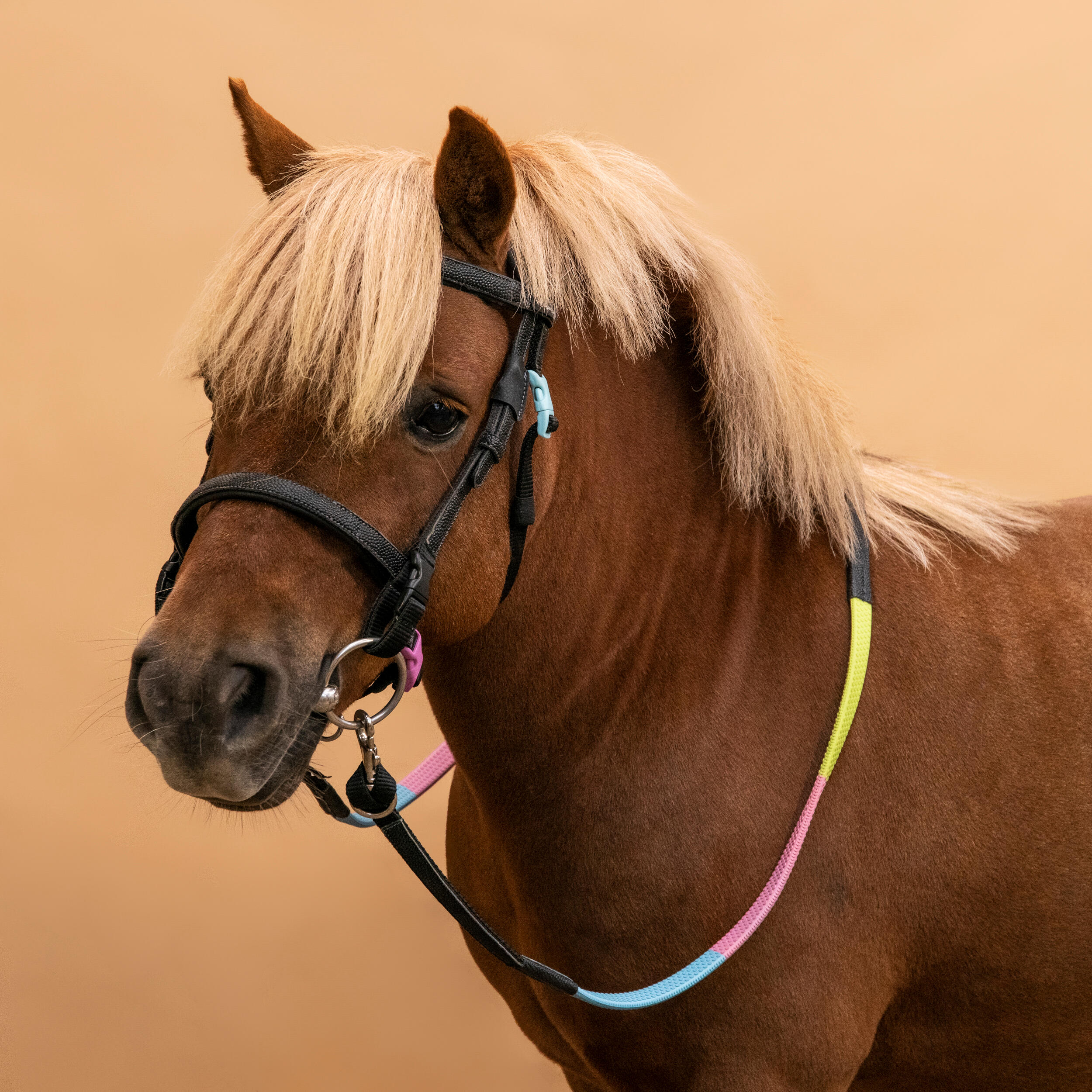 Pony Riding Synthetic Beginner Bridle and Reins - 100 Black