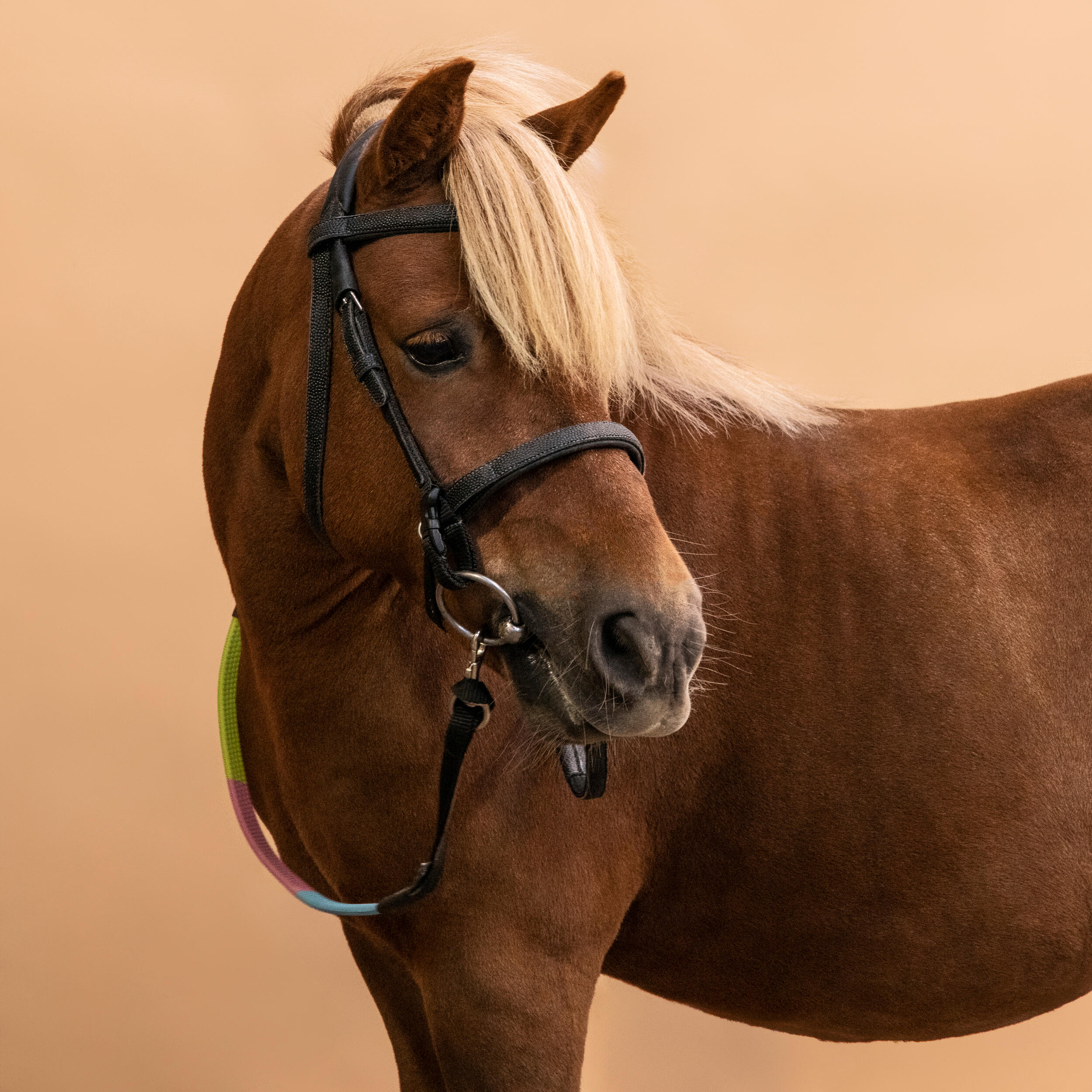 1332-pony-riding-synthetic-beginner-bridle-and-reins-100-black-1.jpg