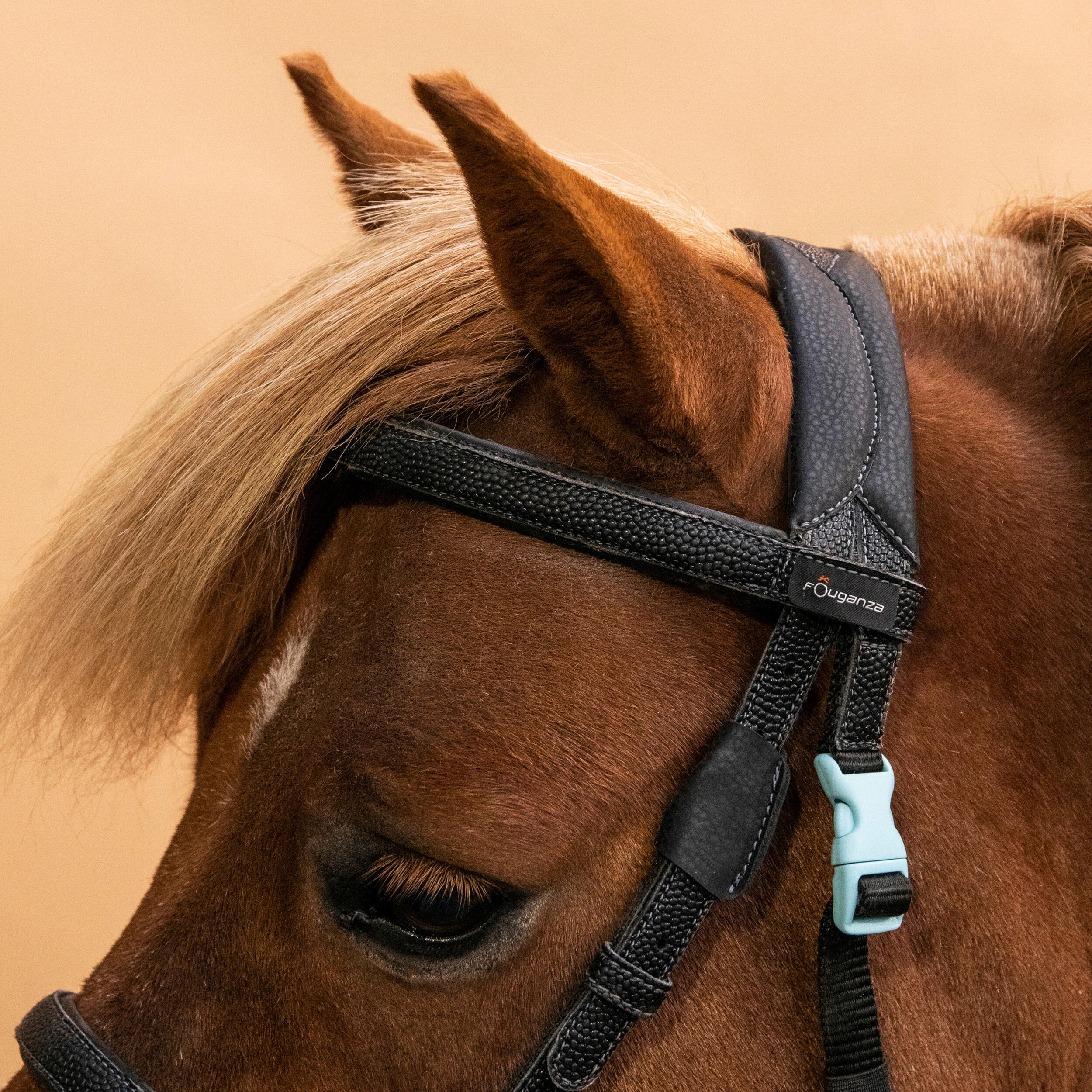 1332-pony-riding-synthetic-beginner-bridle-and-reins-100-black-1.jpg