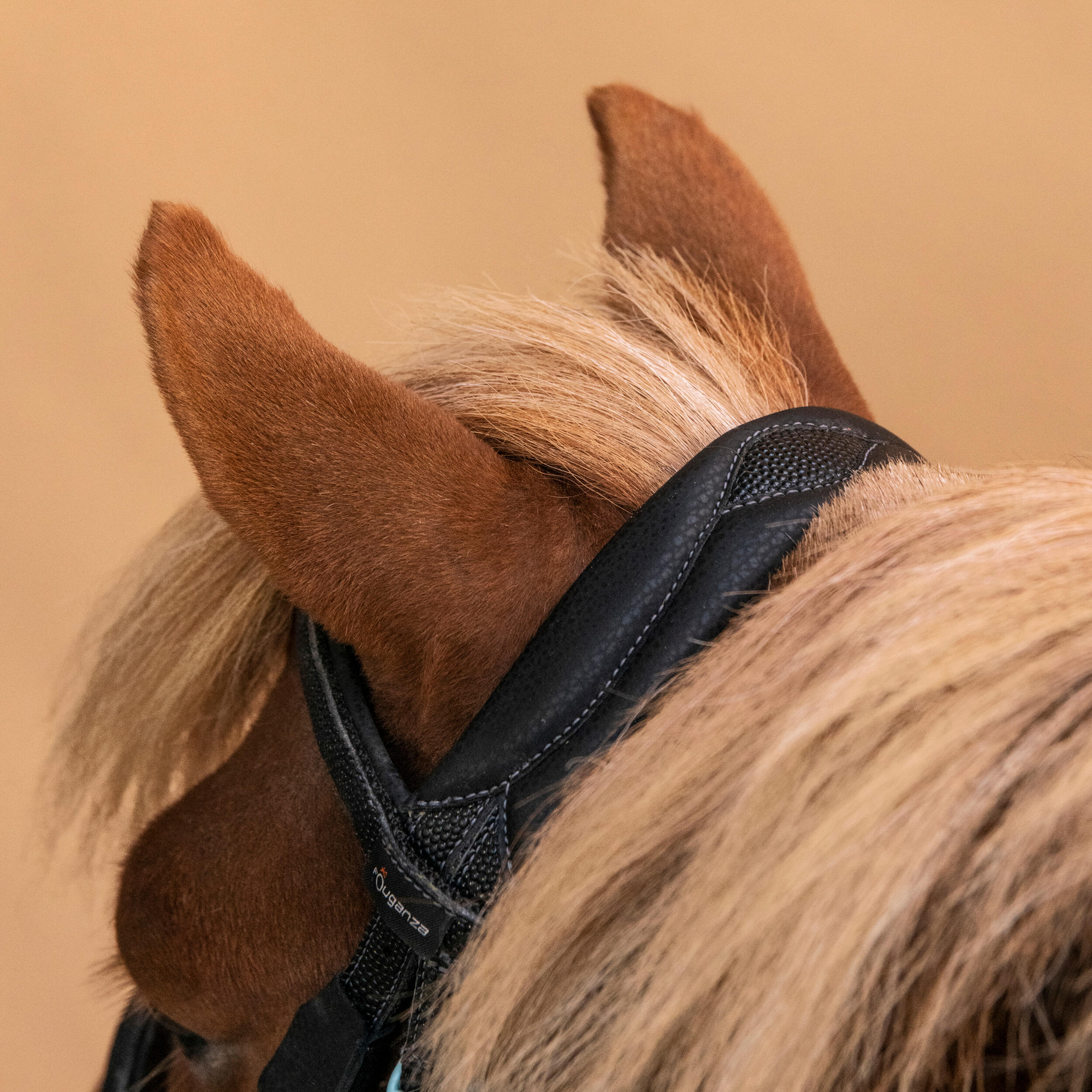 1332-pony-riding-synthetic-beginner-bridle-and-reins-100-black-1.jpg