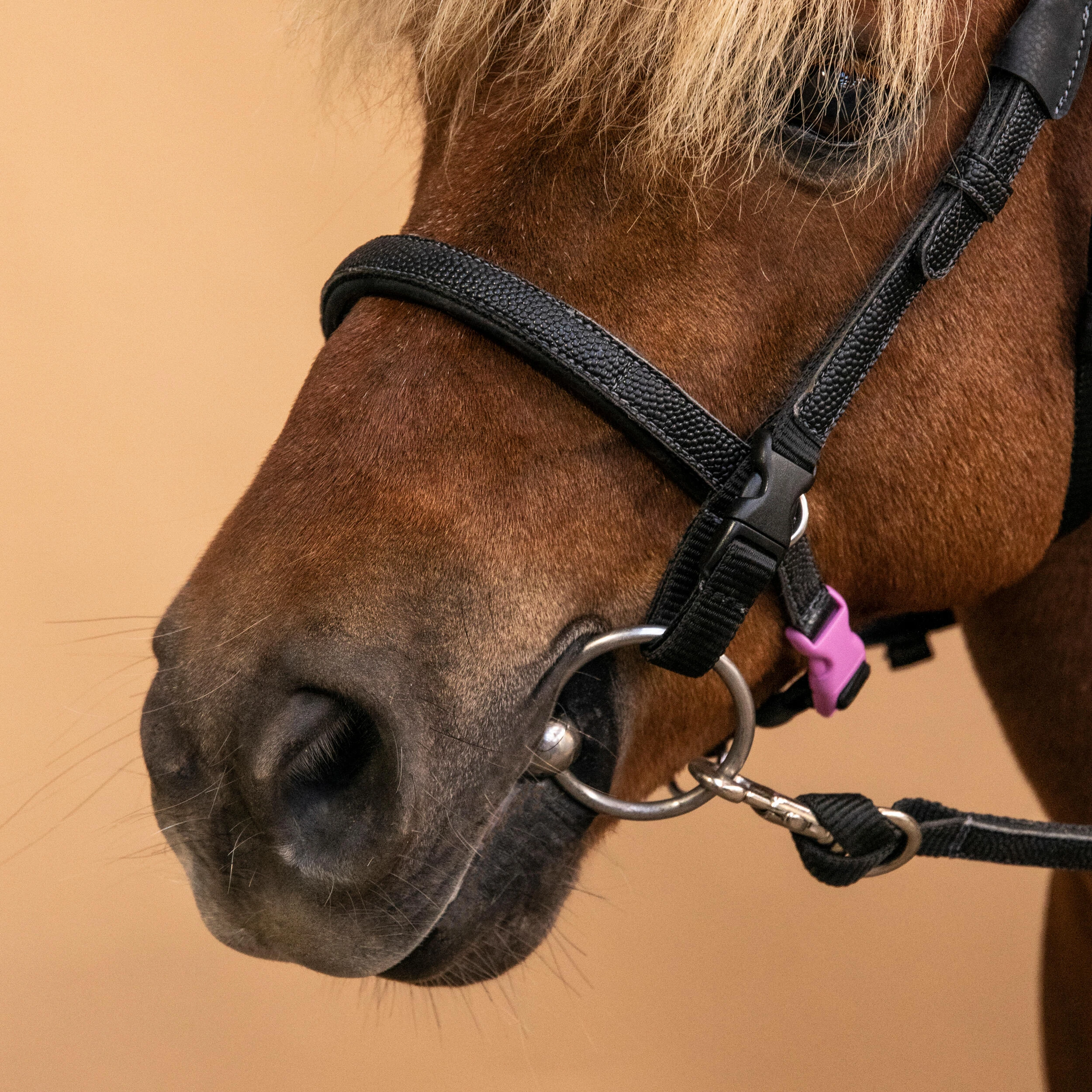1332-pony-riding-synthetic-beginner-bridle-and-reins-100-black-1.jpg