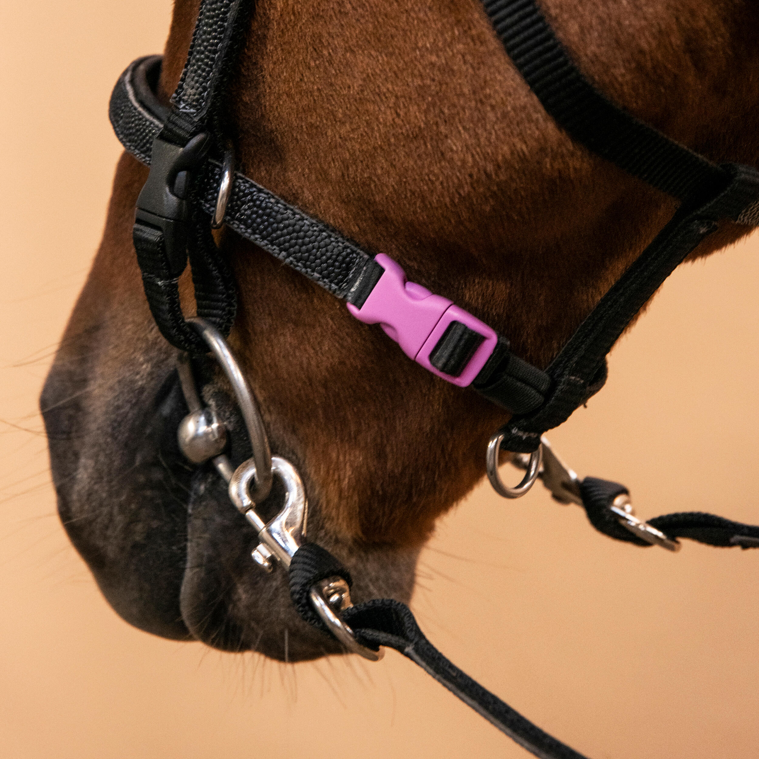 1332-pony-riding-synthetic-beginner-bridle-and-reins-100-black-1.jpg