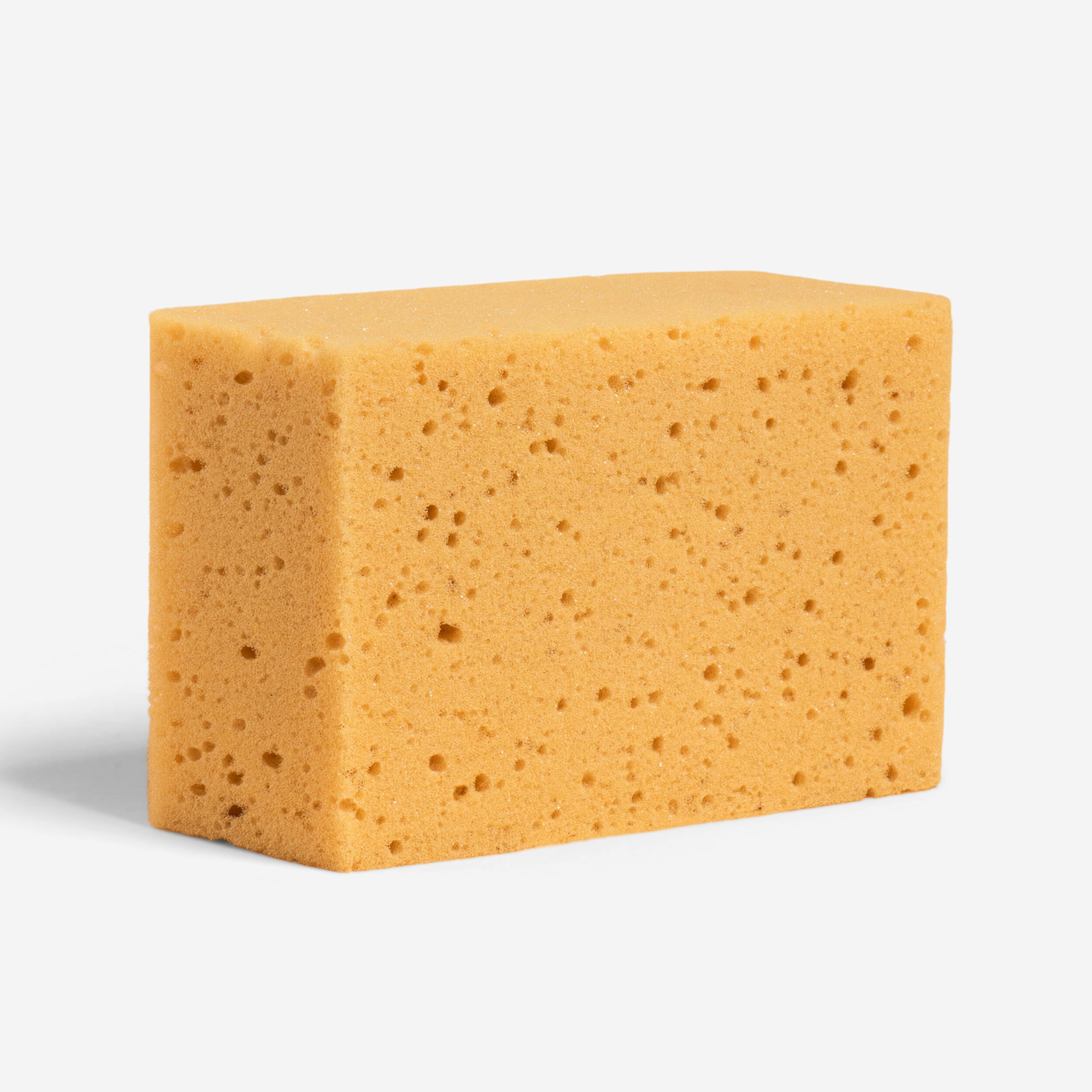 Horseback riding grooming sponge