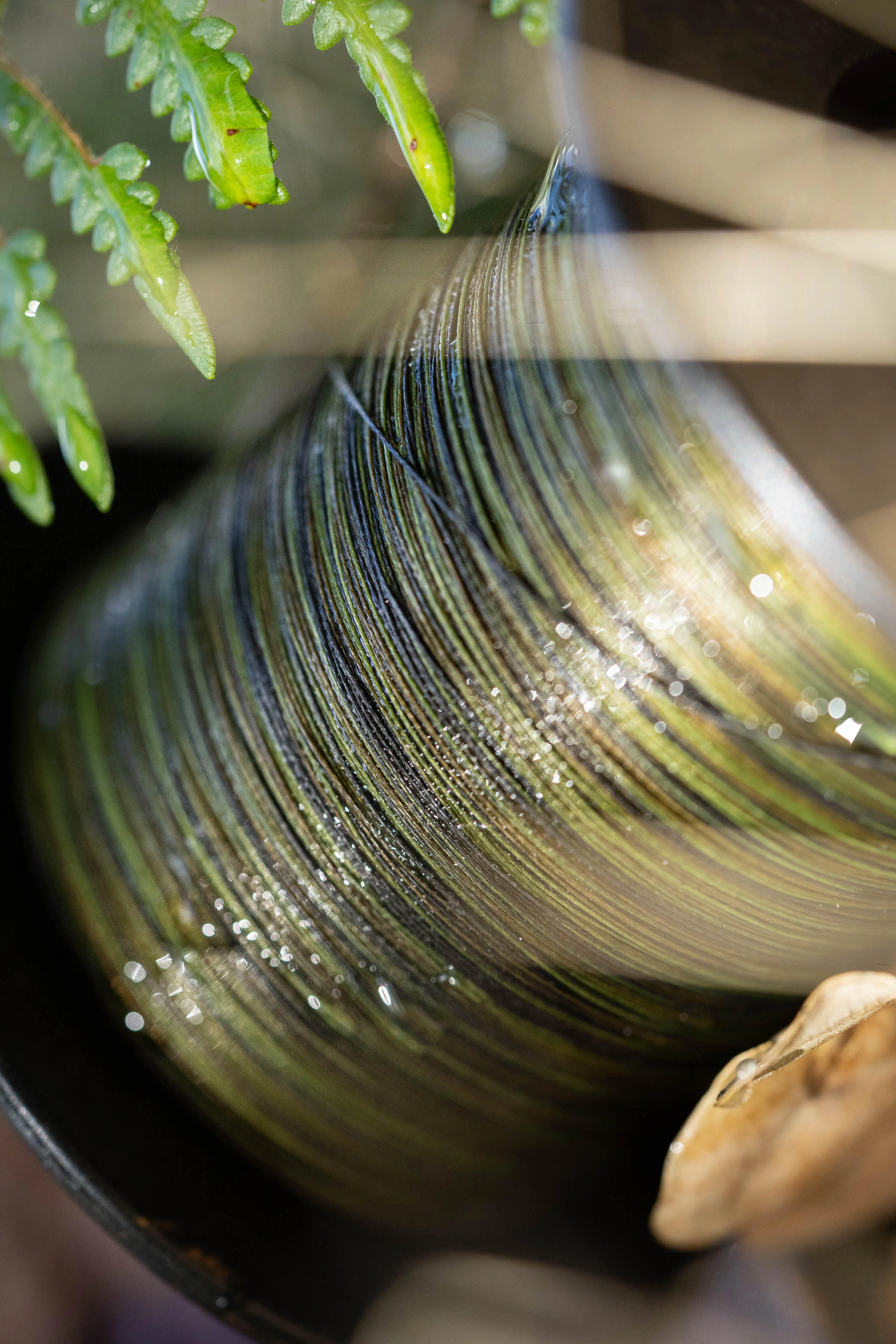 4020-carp-fishing-sinking-braid-30-100-350m-1.jpg