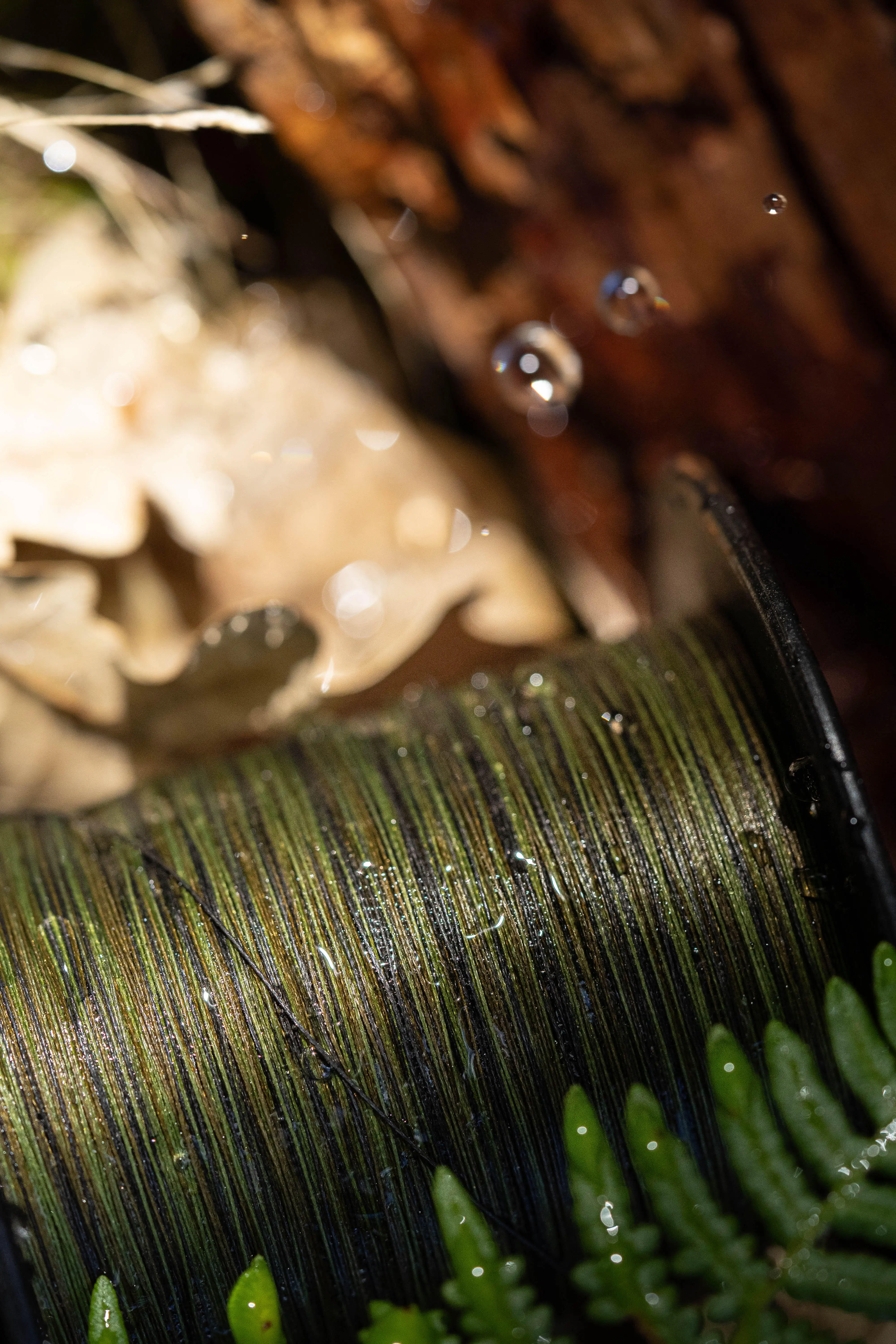 4020-carp-fishing-sinking-braid-30-100-350m-1.jpg