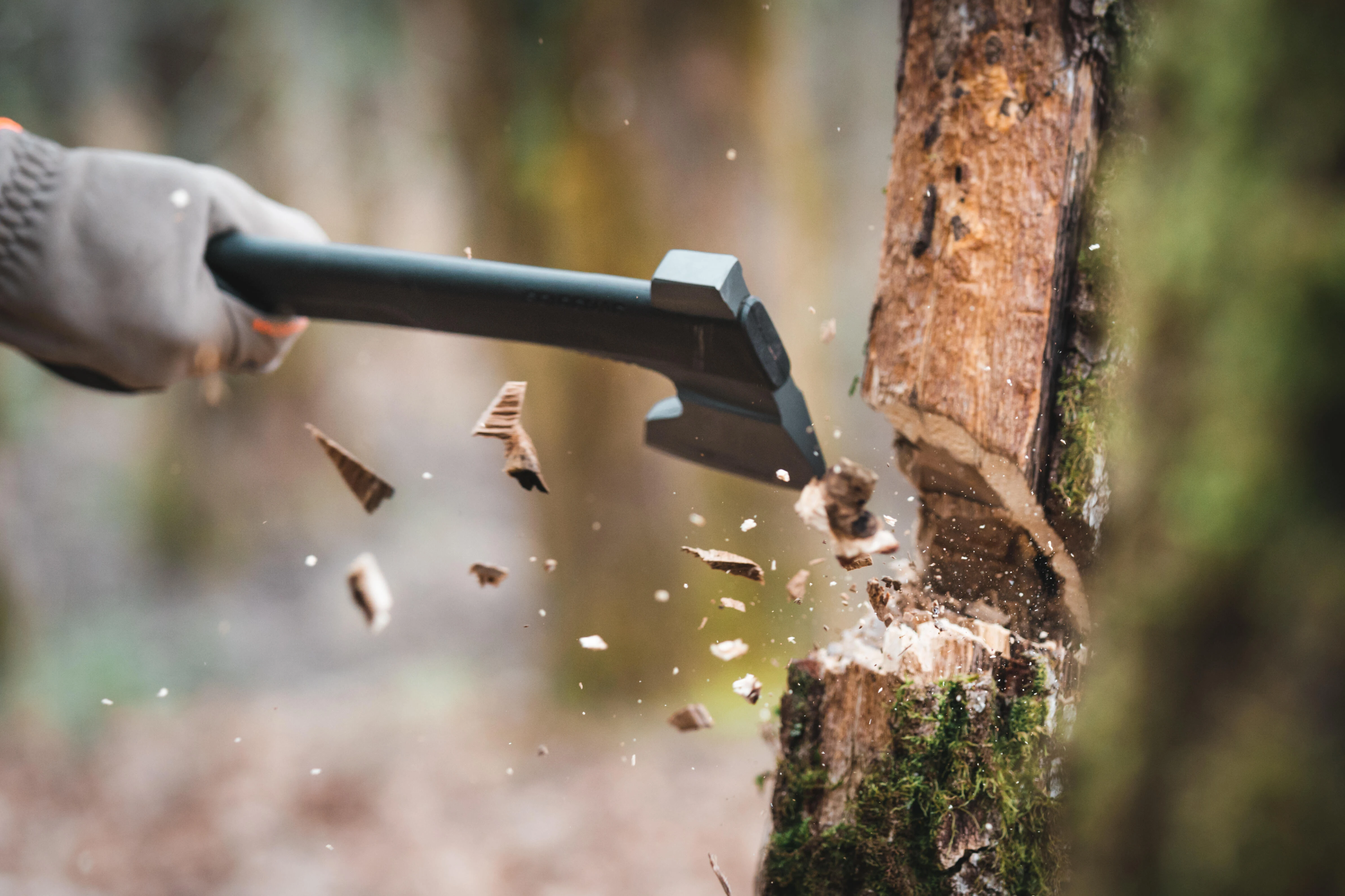 4251-axe-bushcraft-35-cm-black-1.jpg