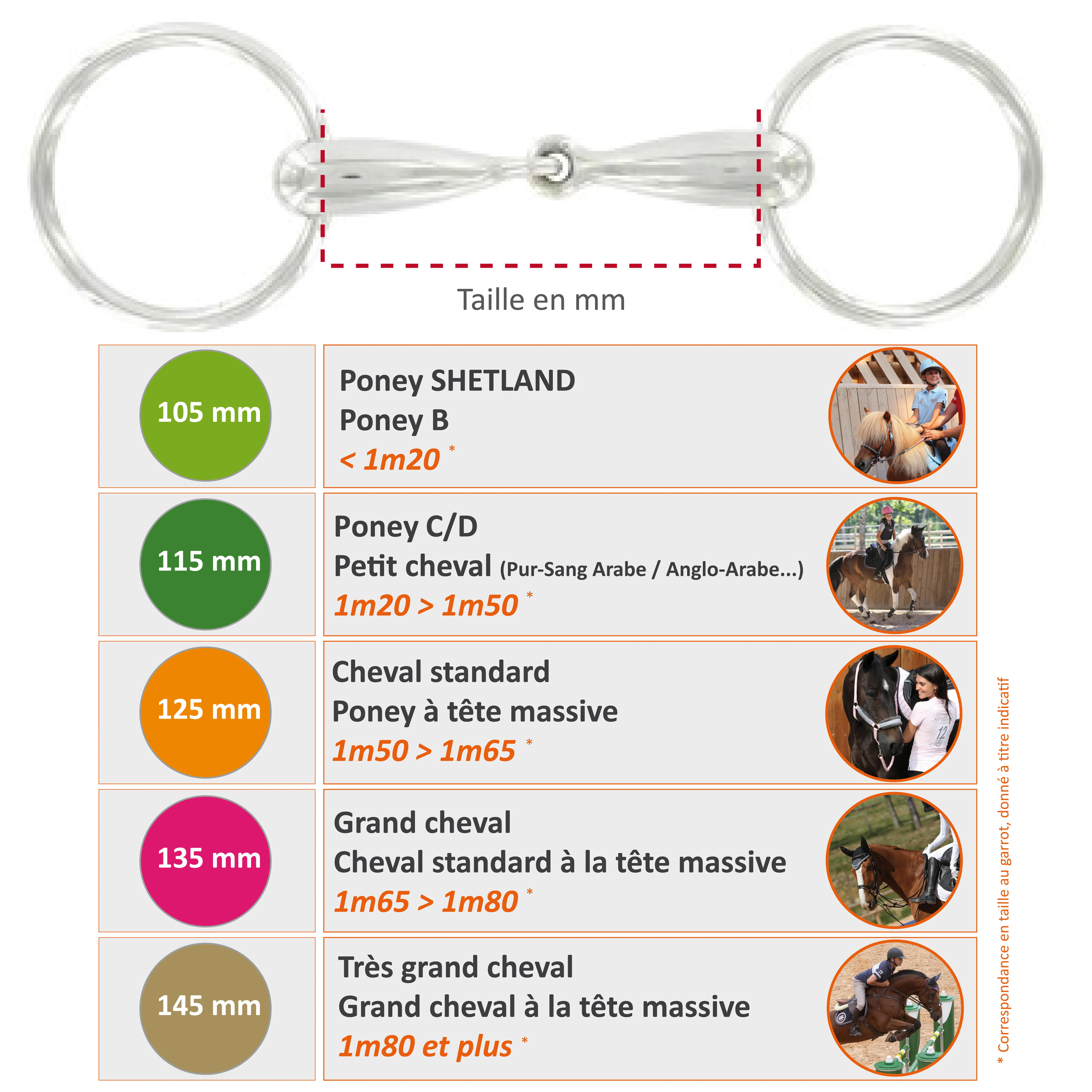 Horse and Pony Riding Stainless Steel Hollow Snaffle Bit