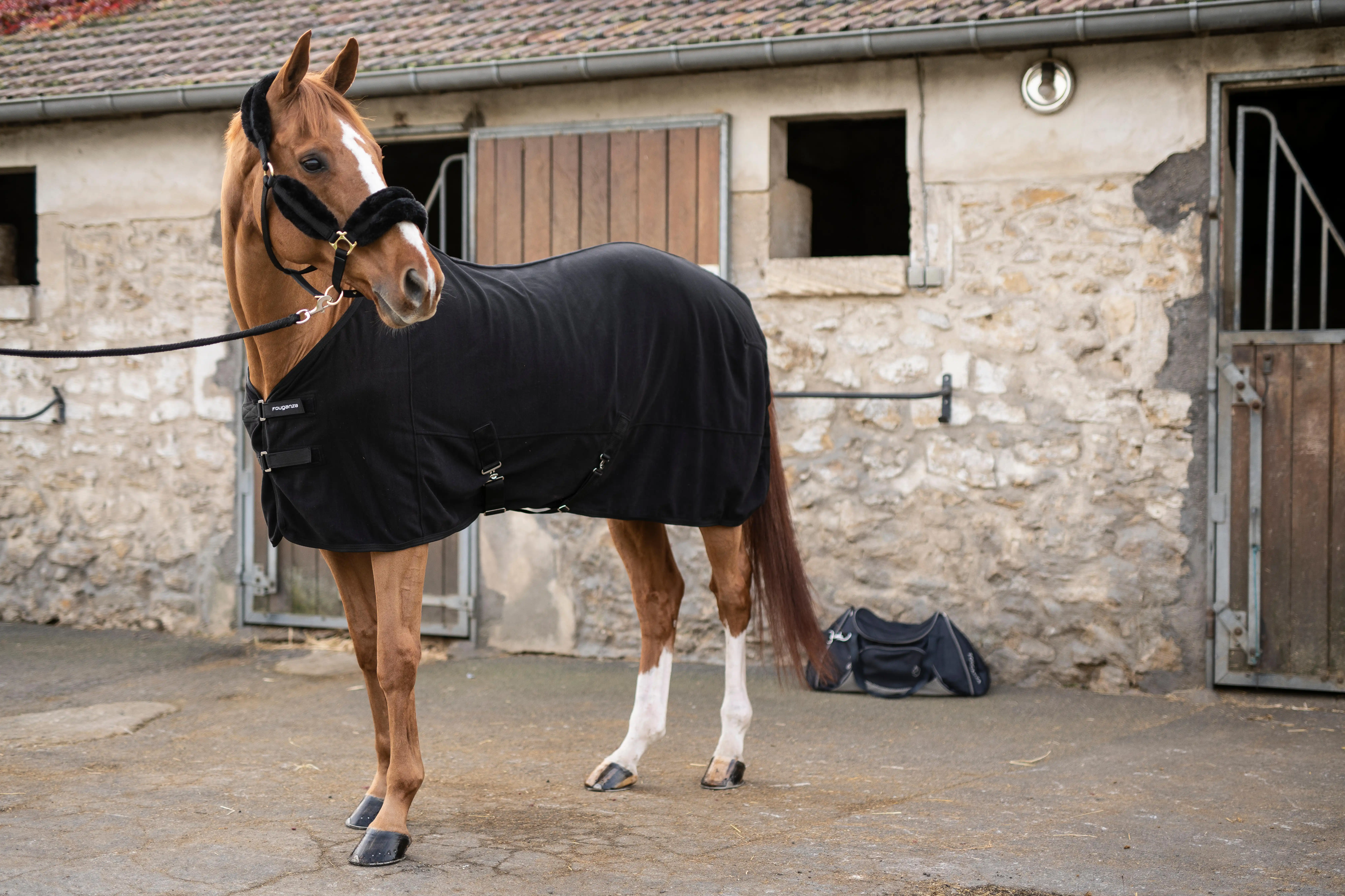 5004-horse-riding-synthetic-sheepskin-halter-black-gold-1.jpg