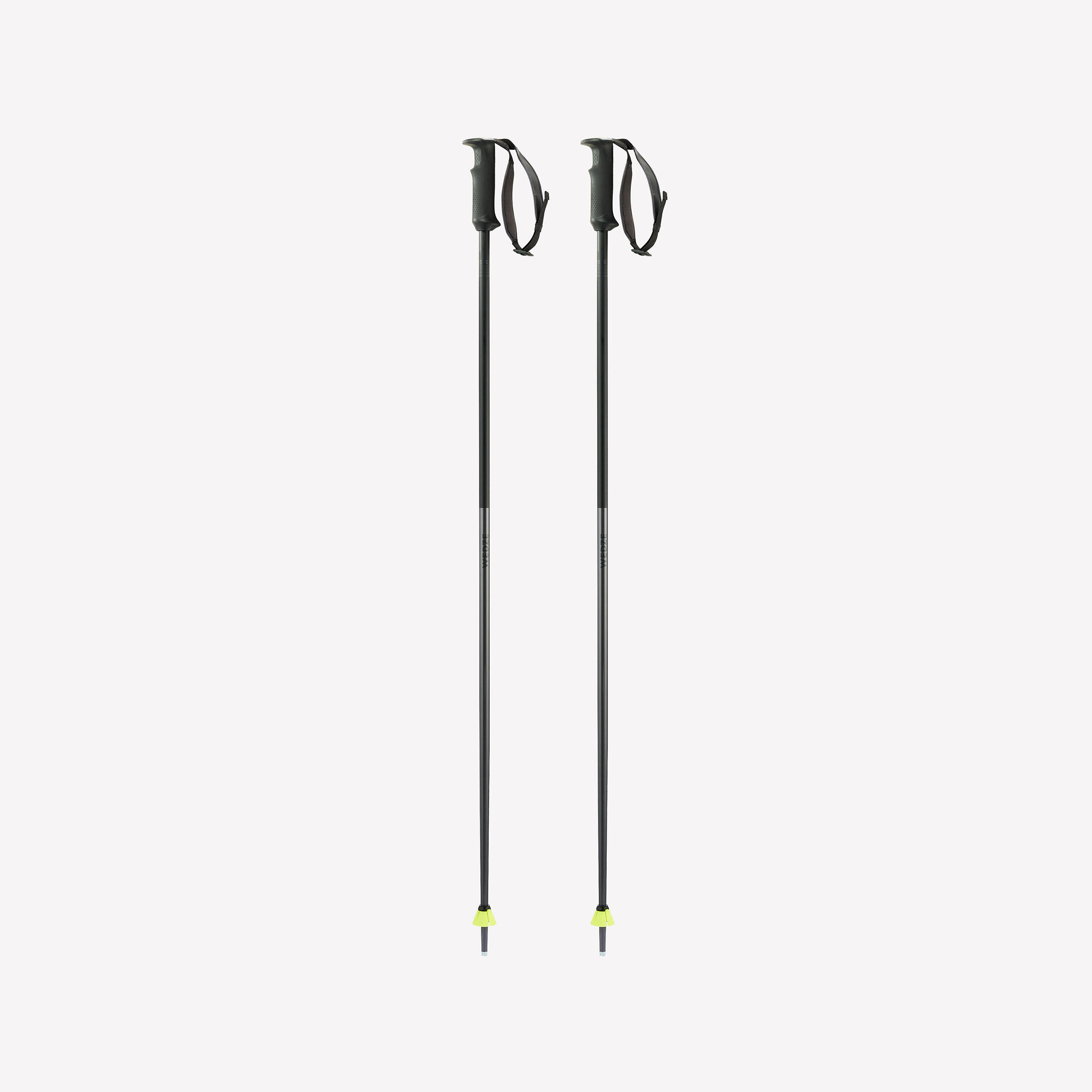 Downhill Ski Poles â Boost 900 Safety