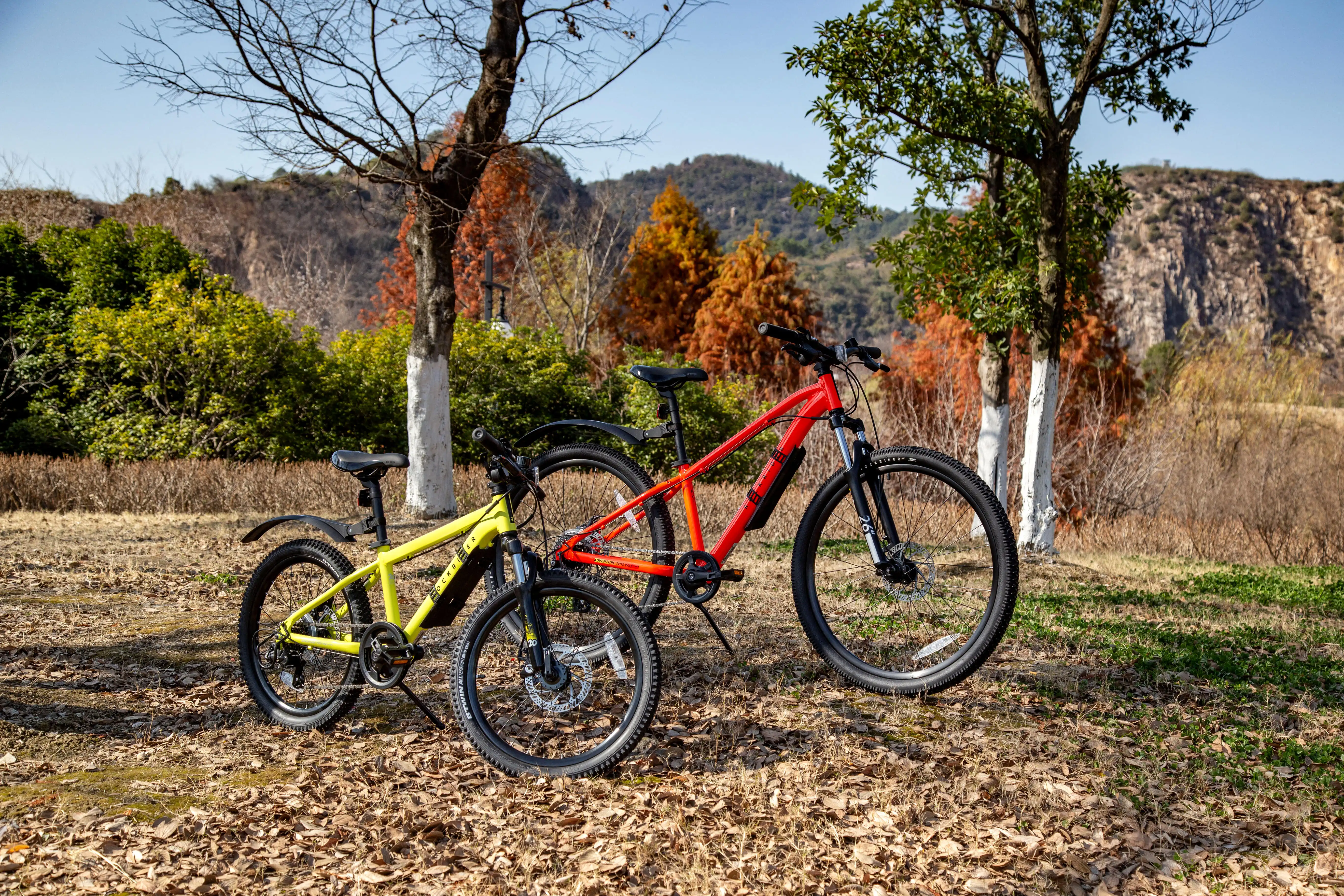 6318-mountain-biking-fender-kids-1.jpg