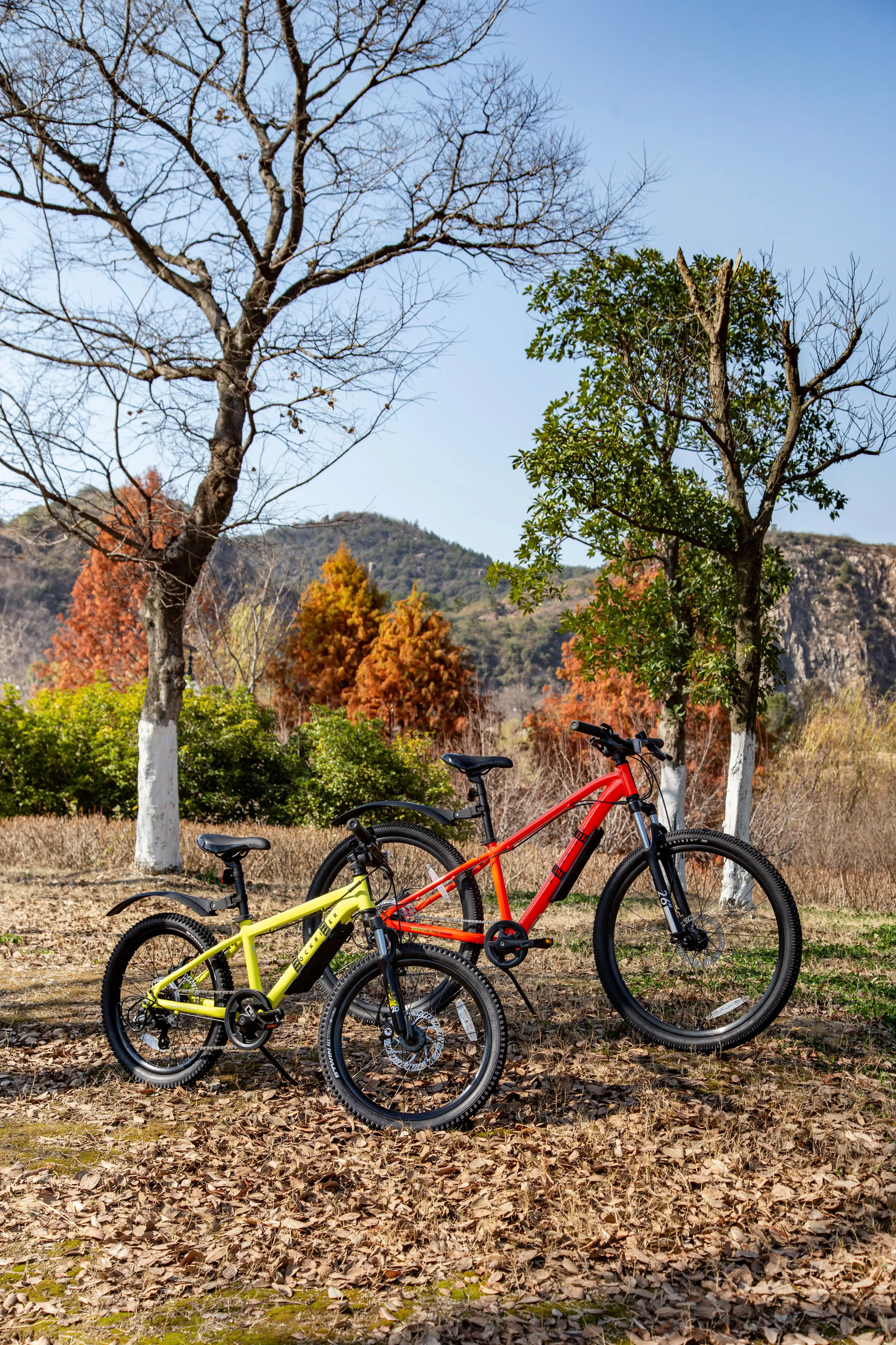 6318-mountain-biking-fender-kids-1.jpg