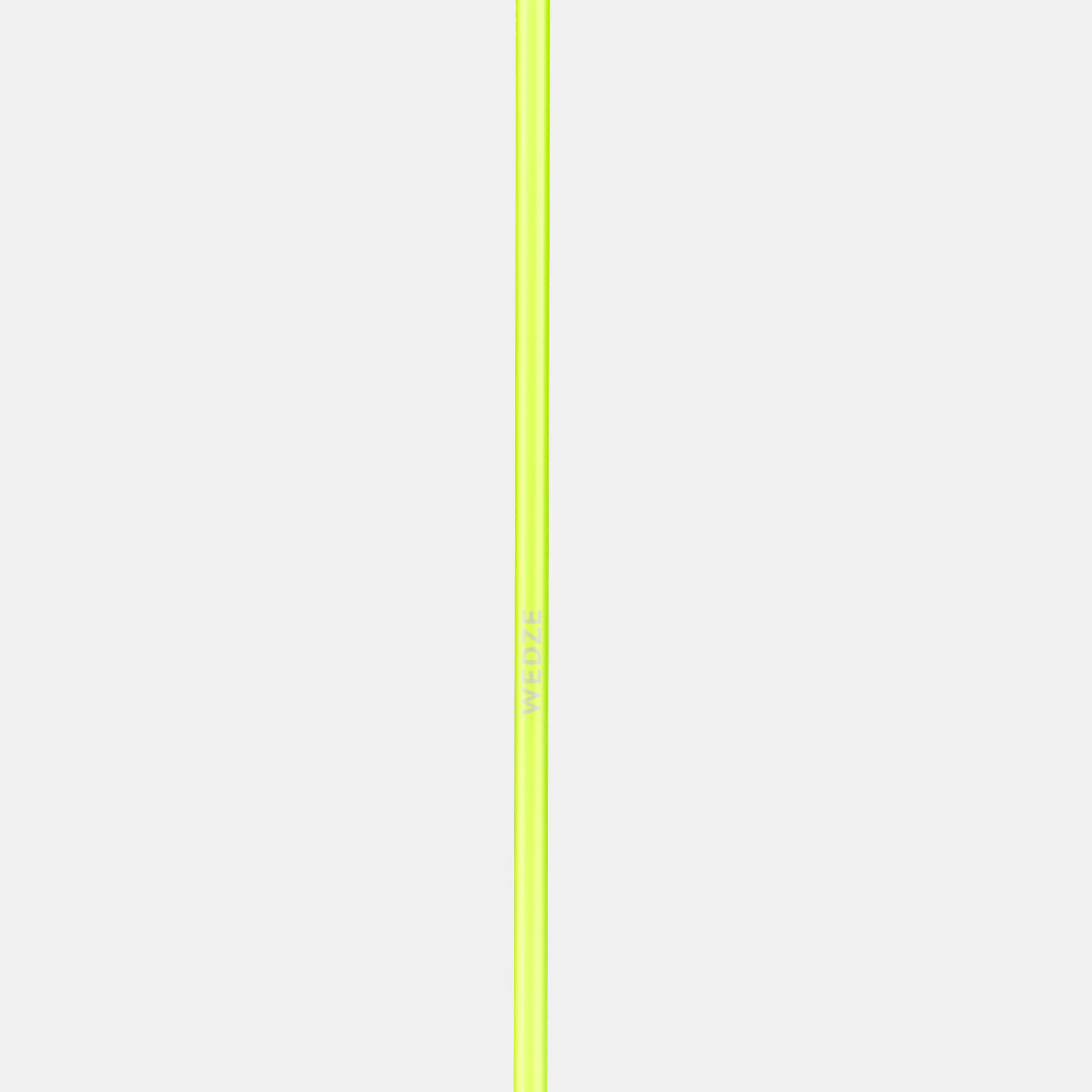 6757-downhill-ski-poles-boost-500-safety-1.jpg