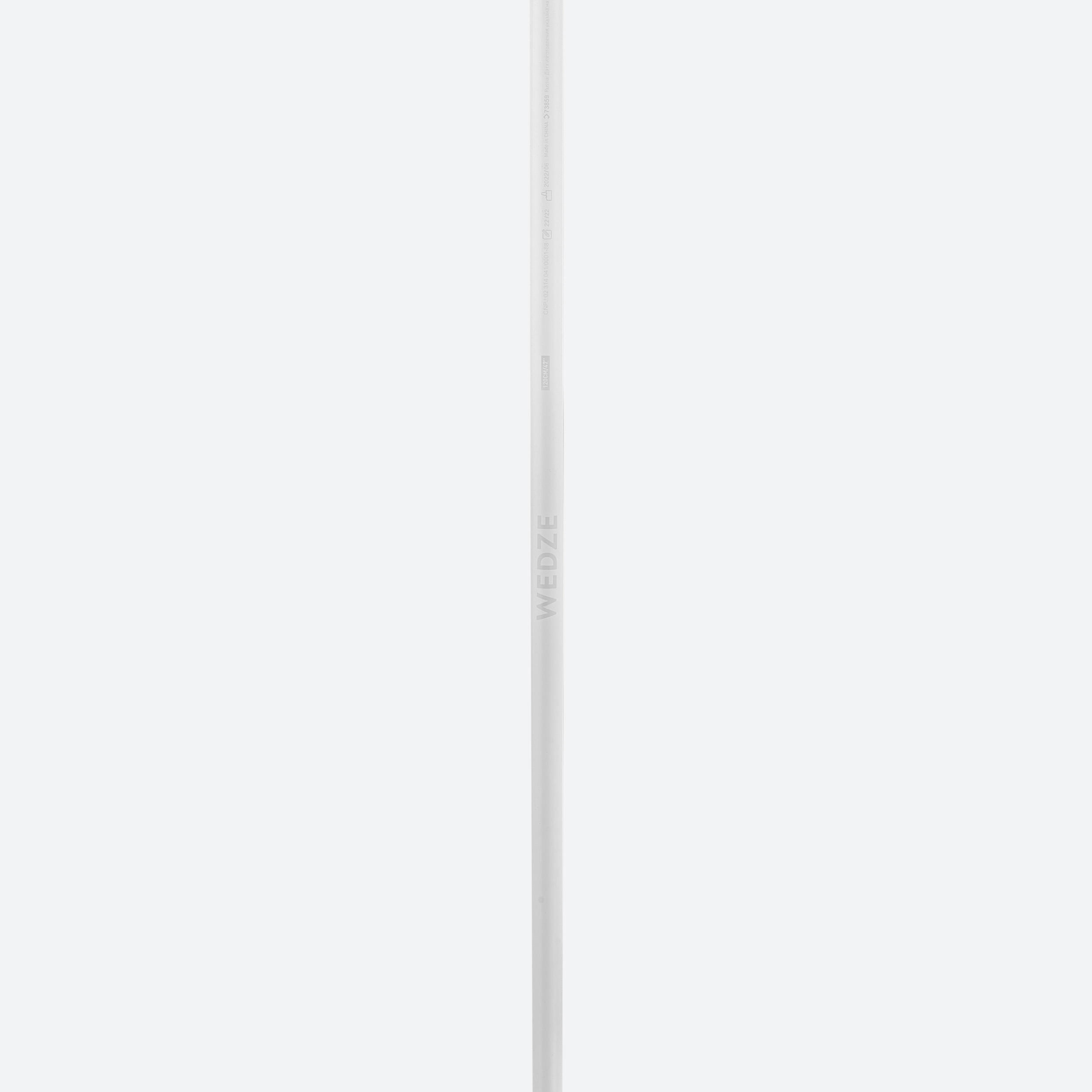 6762-downhill-ski-poles-boost-500-safety-1.jpg