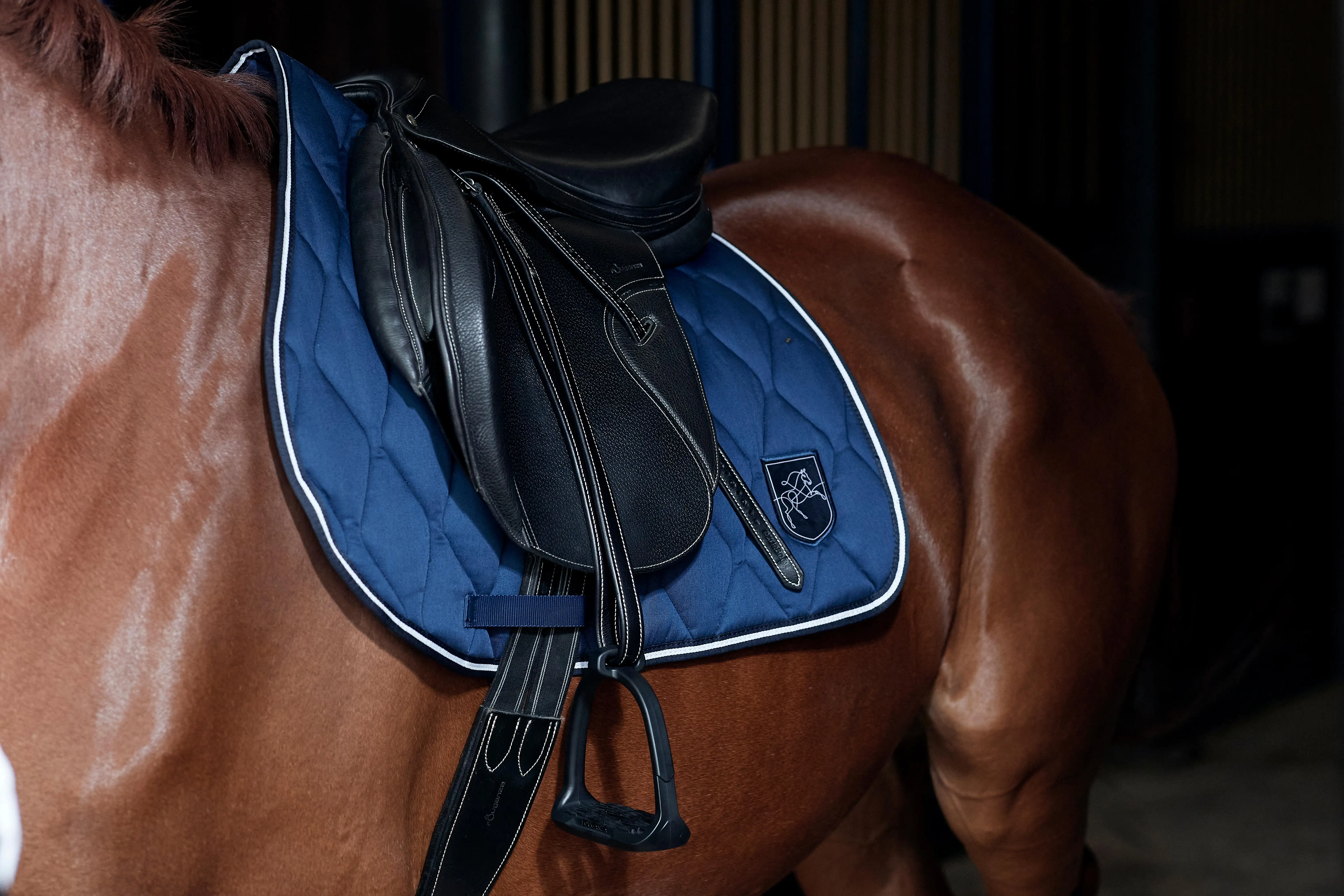 6988-horse-riding-stirrup-irons-100-black-1.jpg