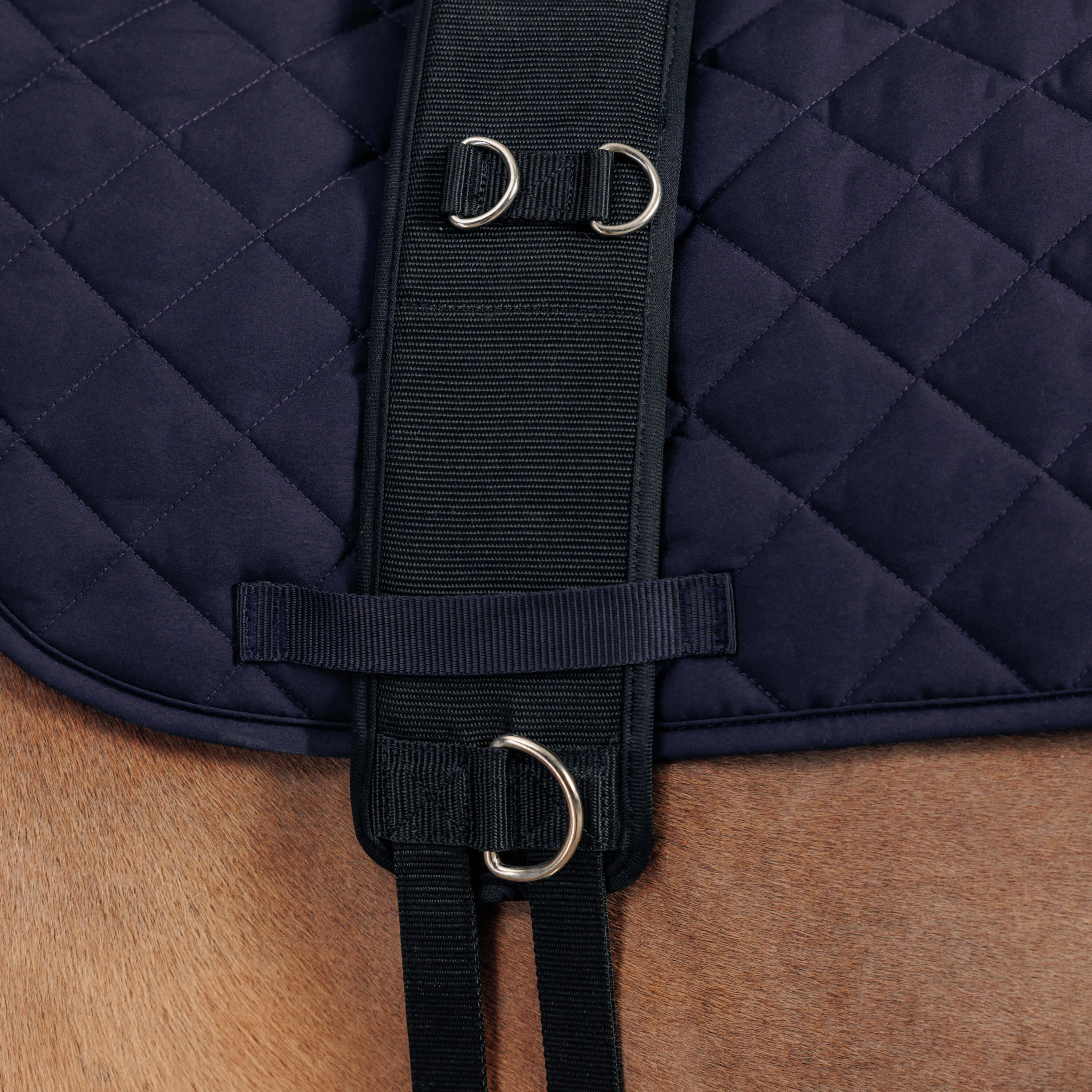 Horse & Pony Riding Lunging Roller - Black