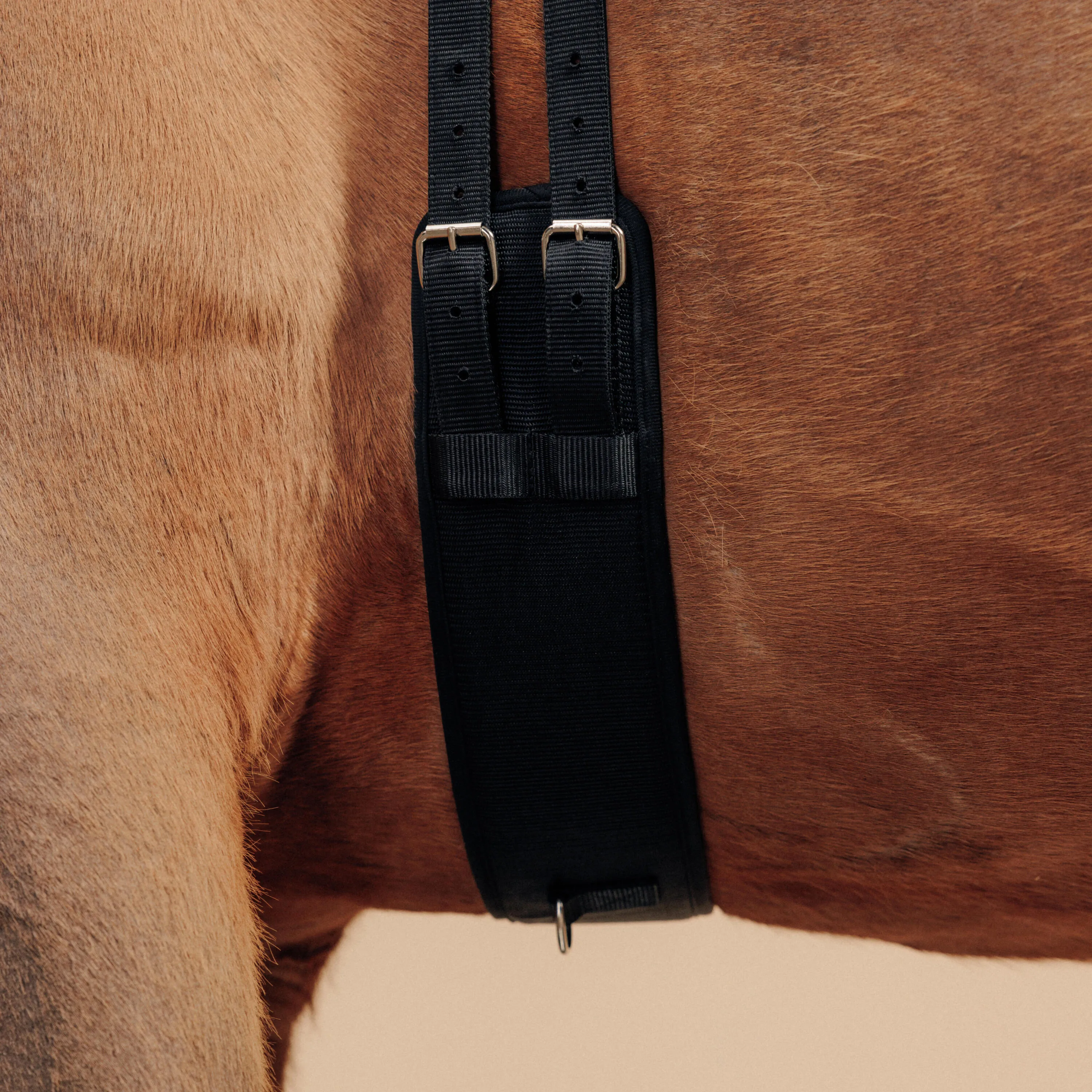 7273-horse-amp-pony-riding-lunging-roller-black-1.jpg