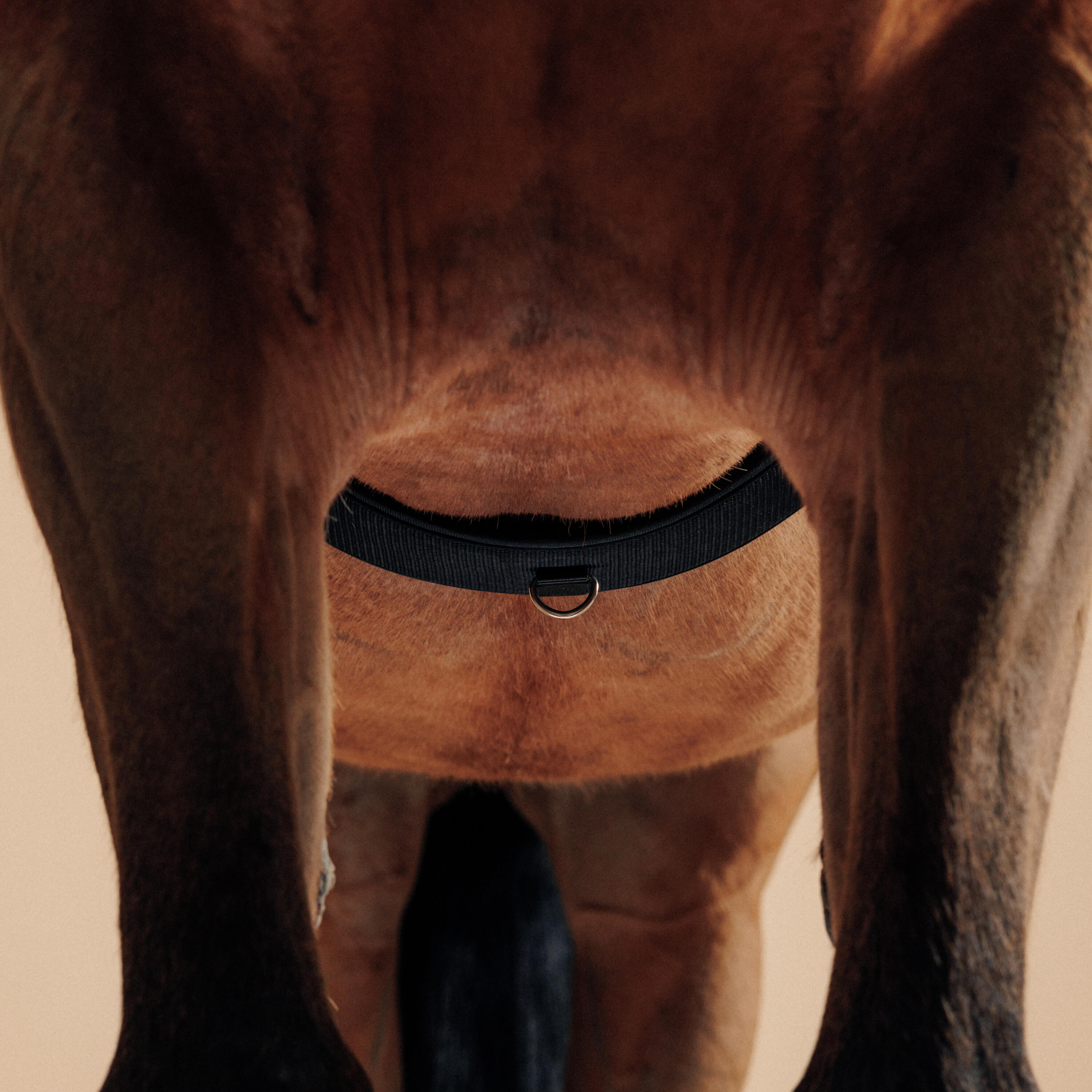 7273-horse-amp-pony-riding-lunging-roller-black-1.jpg