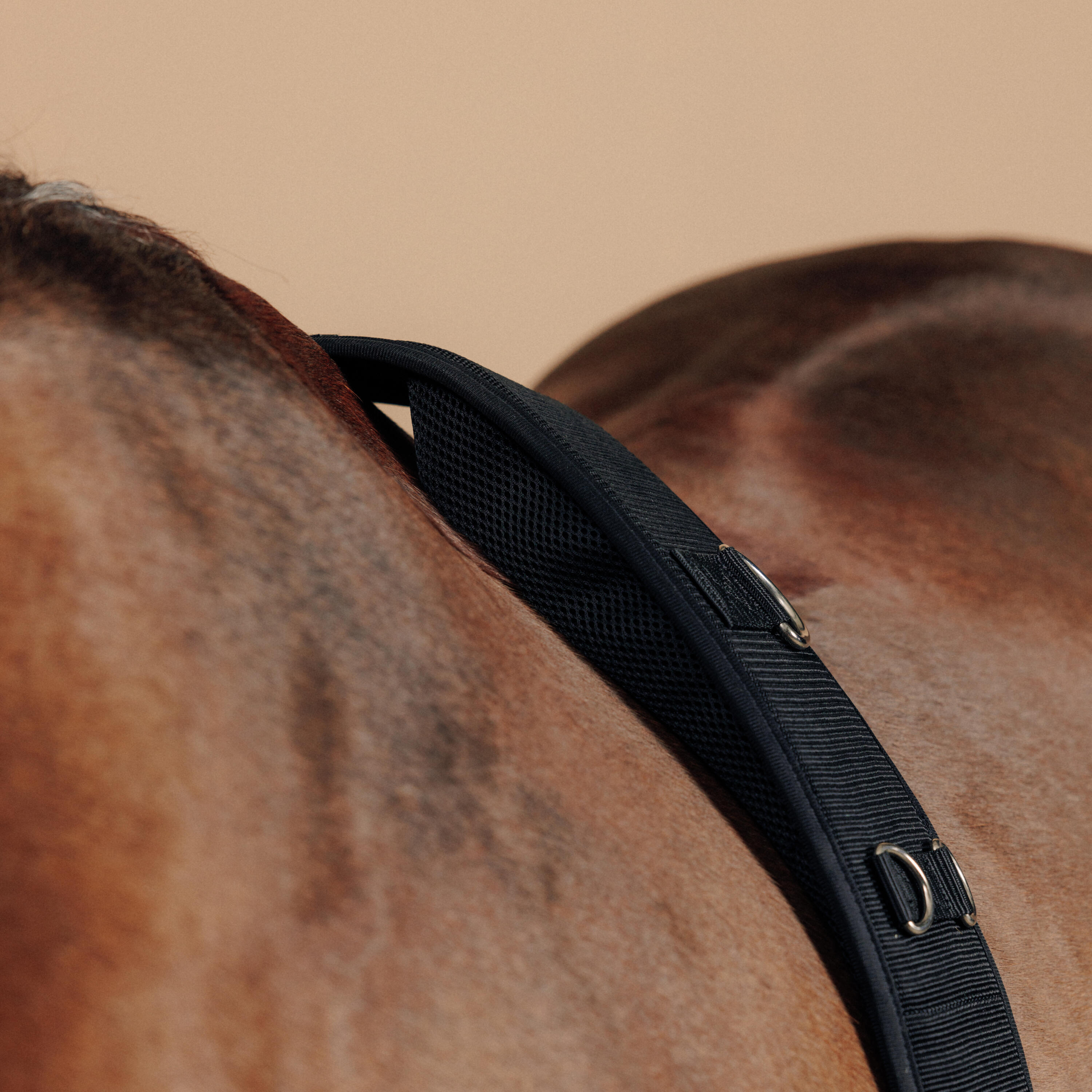7273-horse-amp-pony-riding-lunging-roller-black-1.jpg