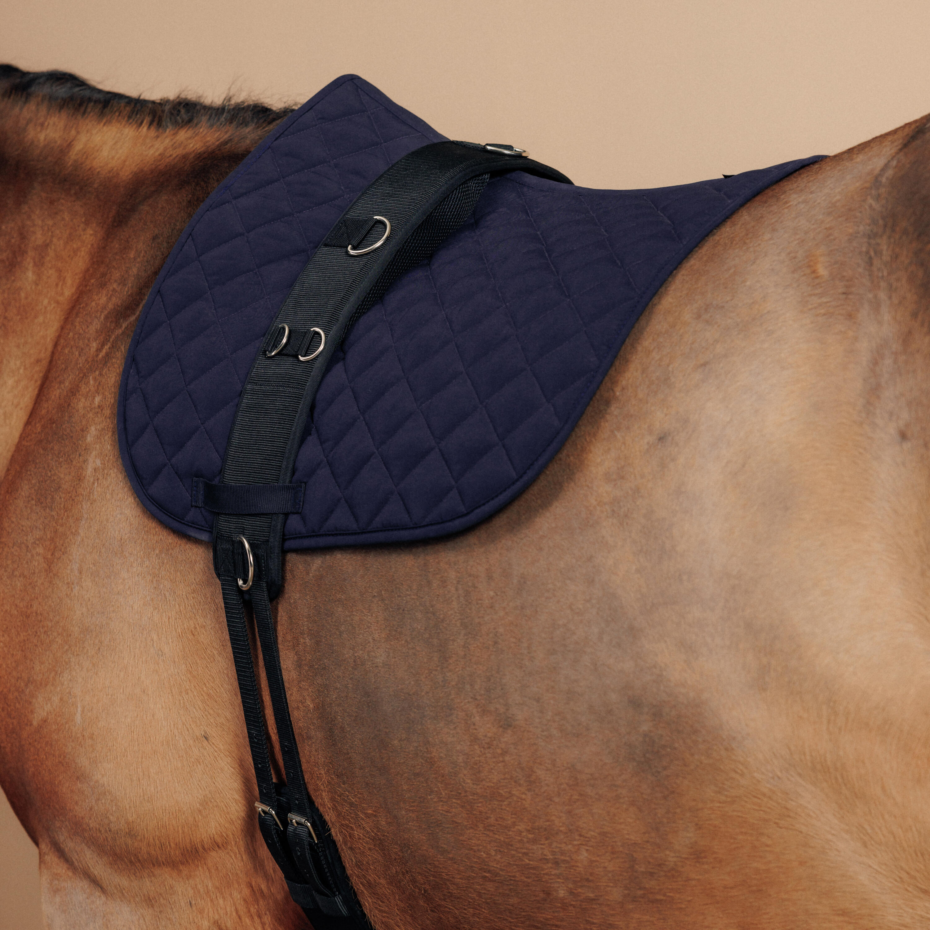 7273-horse-amp-pony-riding-lunging-roller-black-1.jpg