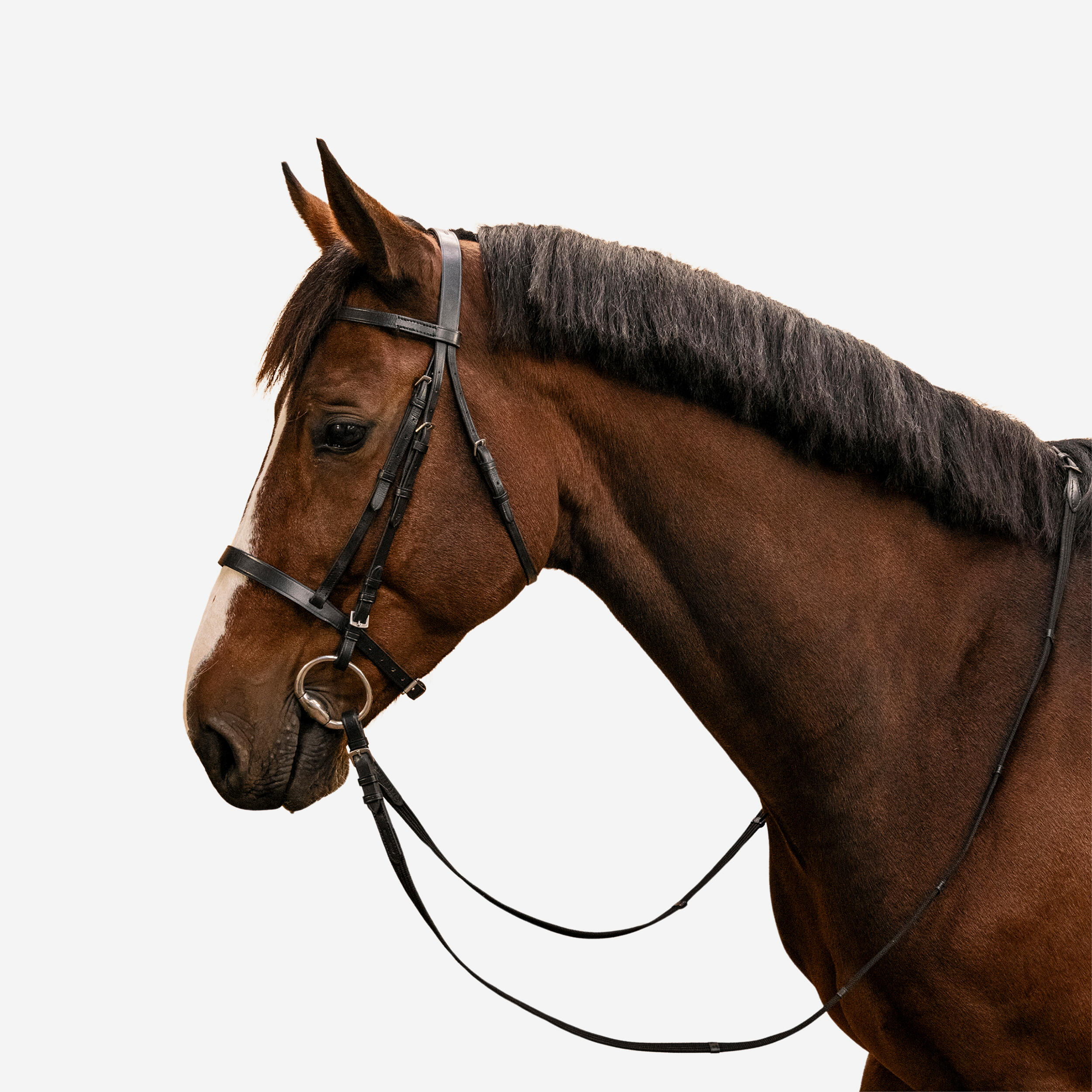 Horse & Pony Riding Leather Bridle with French Noseband & Reins - 100 Black
