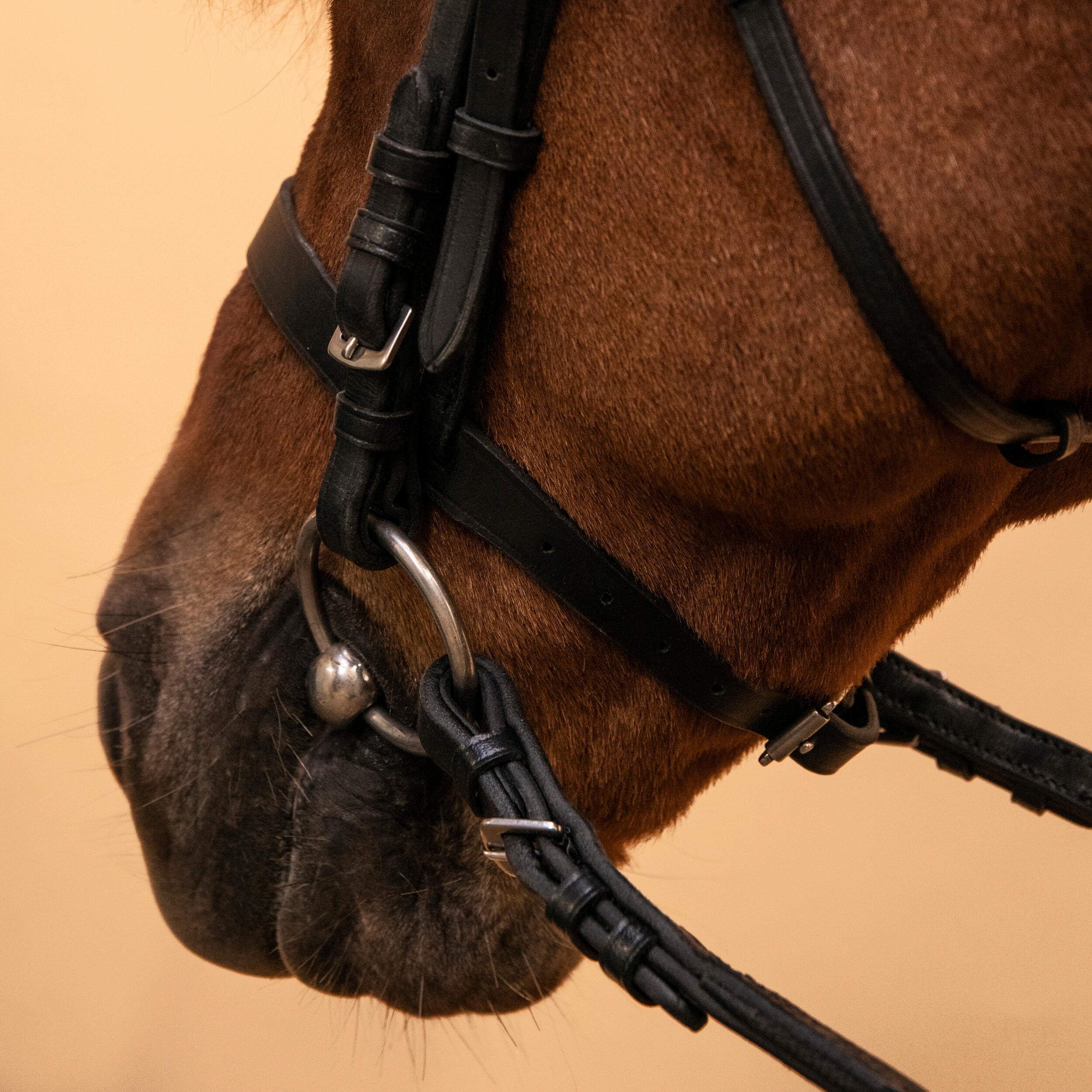 778-horse-amp-pony-riding-leather-bridle-with-french-noseband-amp-reins-100-black-1.jpg