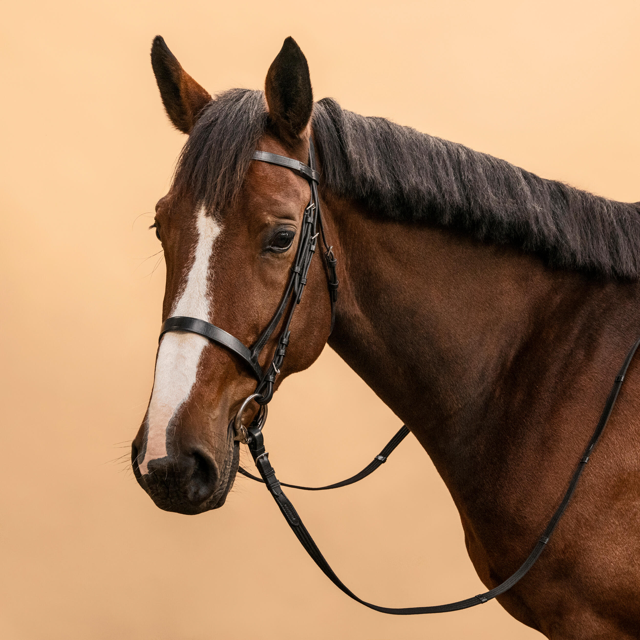Horse & Pony Riding Leather Bridle with French Noseband & Reins - 100 Black