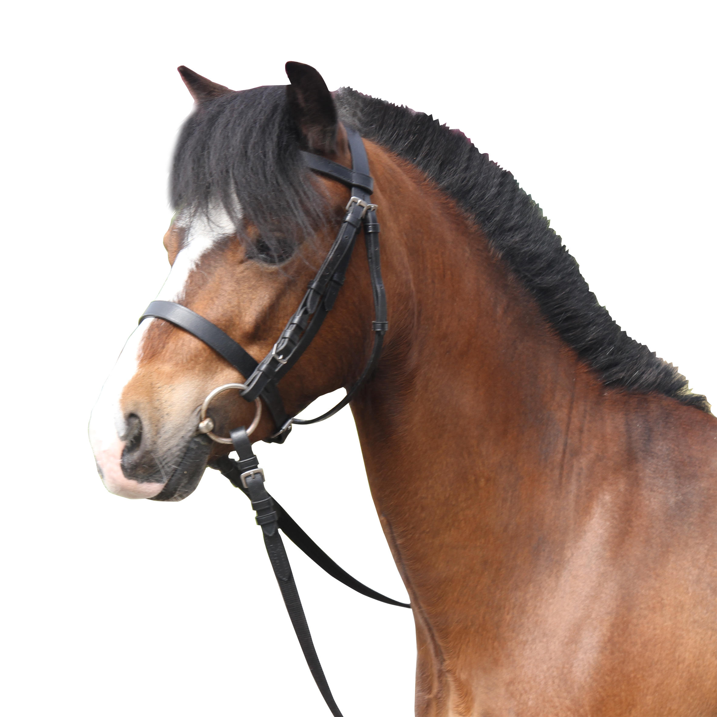 778-horse-amp-pony-riding-leather-bridle-with-french-noseband-amp-reins-100-black-1.jpg