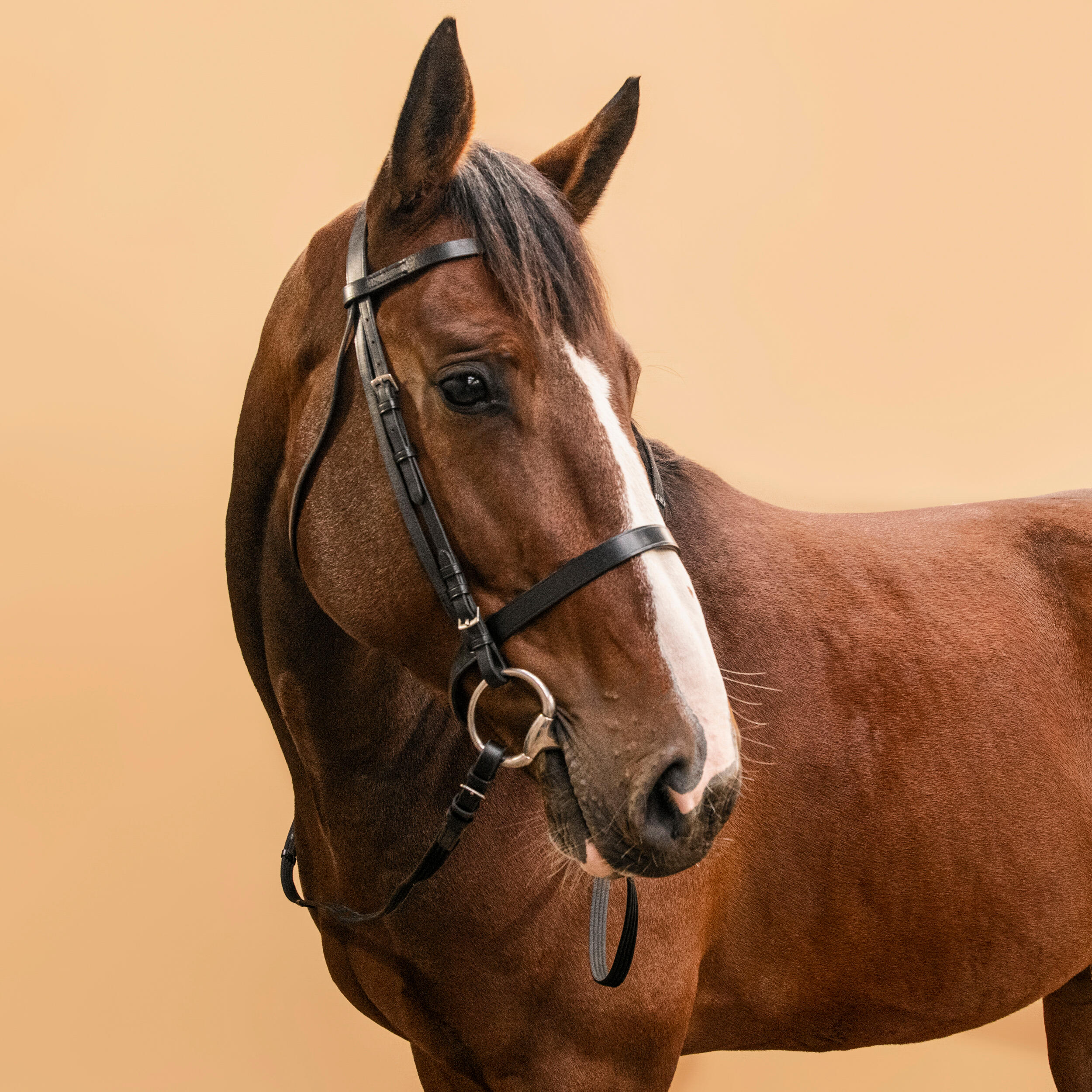 778-horse-amp-pony-riding-leather-bridle-with-french-noseband-amp-reins-100-black-1.jpg