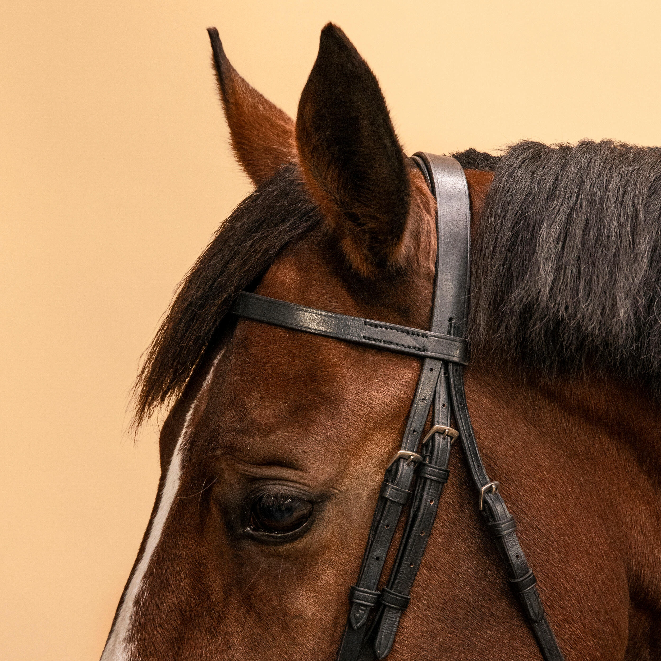 778-horse-amp-pony-riding-leather-bridle-with-french-noseband-amp-reins-100-black-1.jpg