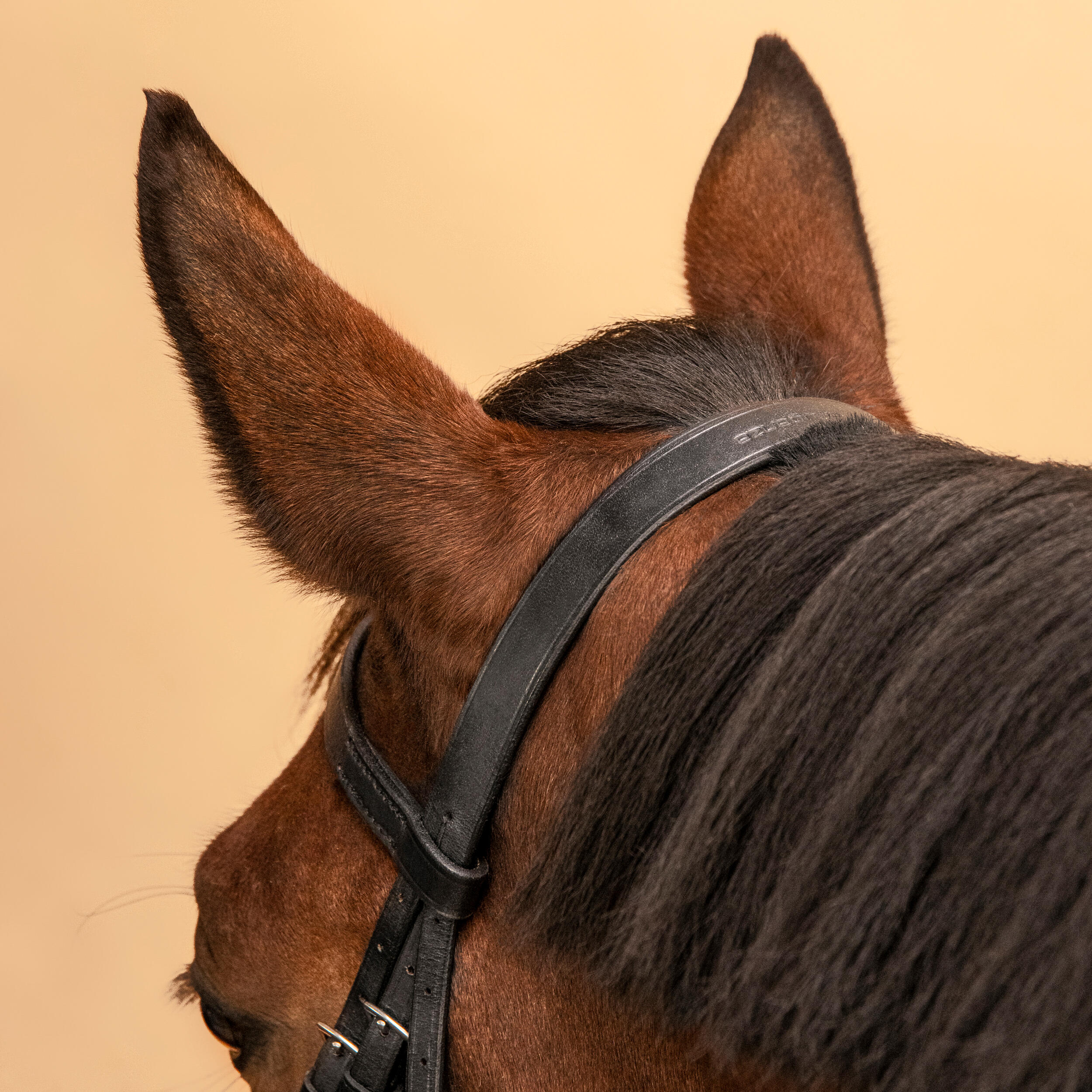 778-horse-amp-pony-riding-leather-bridle-with-french-noseband-amp-reins-100-black-1.jpg