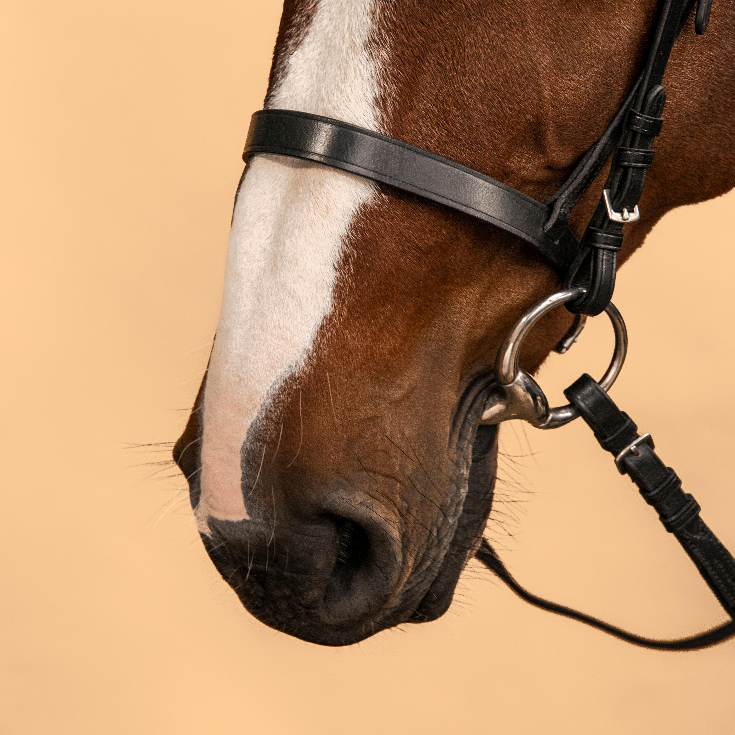 778-horse-amp-pony-riding-leather-bridle-with-french-noseband-amp-reins-100-black-1.jpg