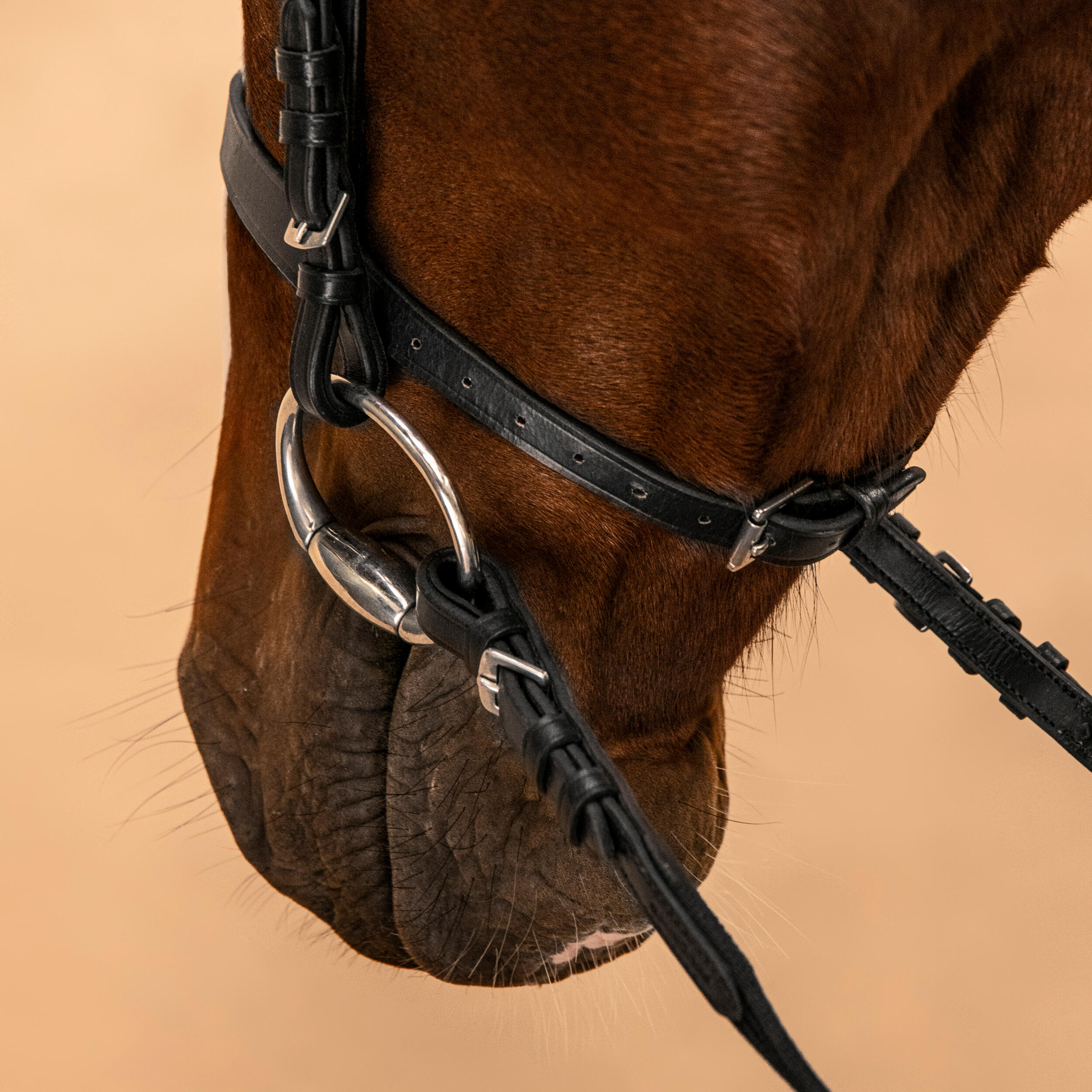 778-horse-amp-pony-riding-leather-bridle-with-french-noseband-amp-reins-100-black-1.jpg