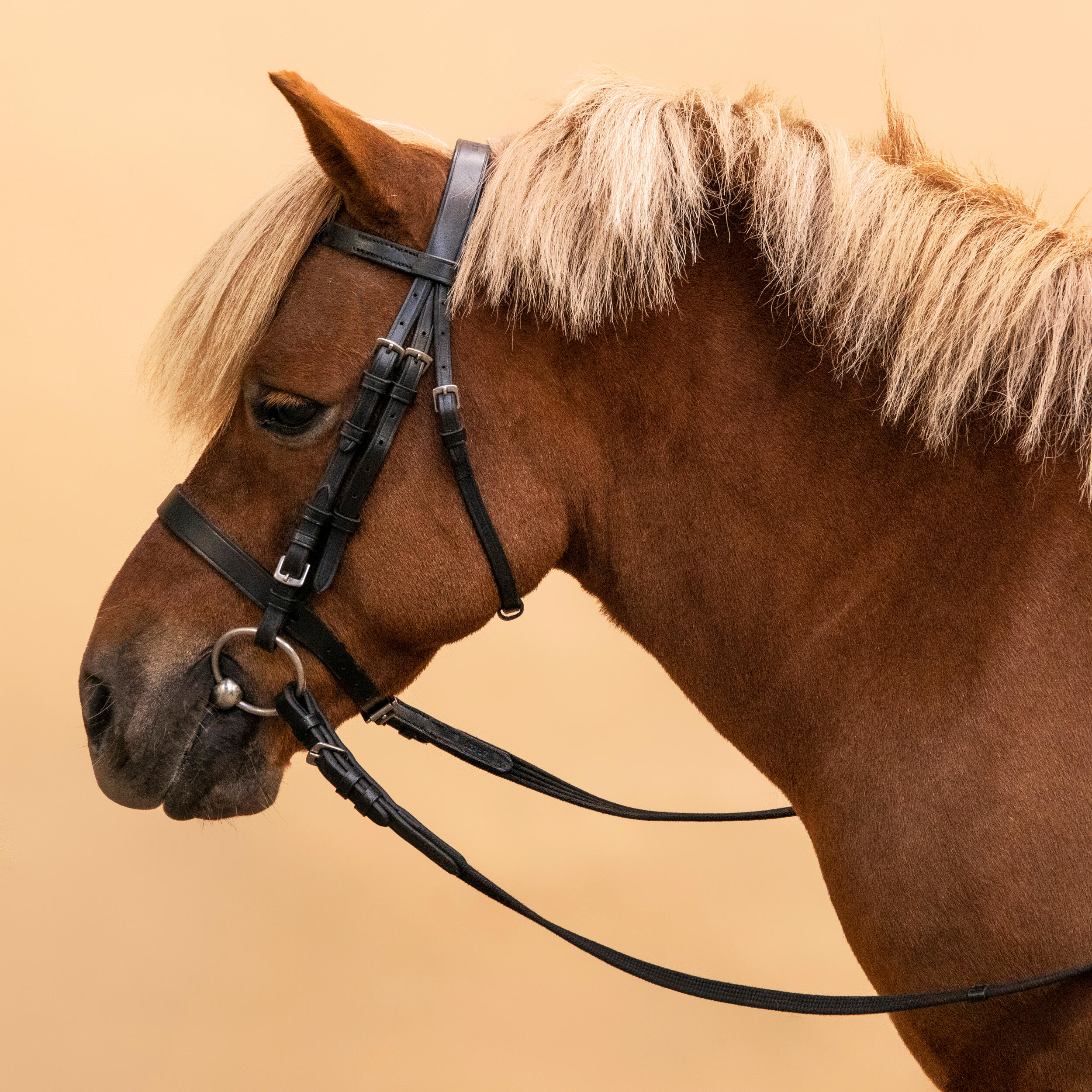 778-horse-amp-pony-riding-leather-bridle-with-french-noseband-amp-reins-100-black-1.jpg