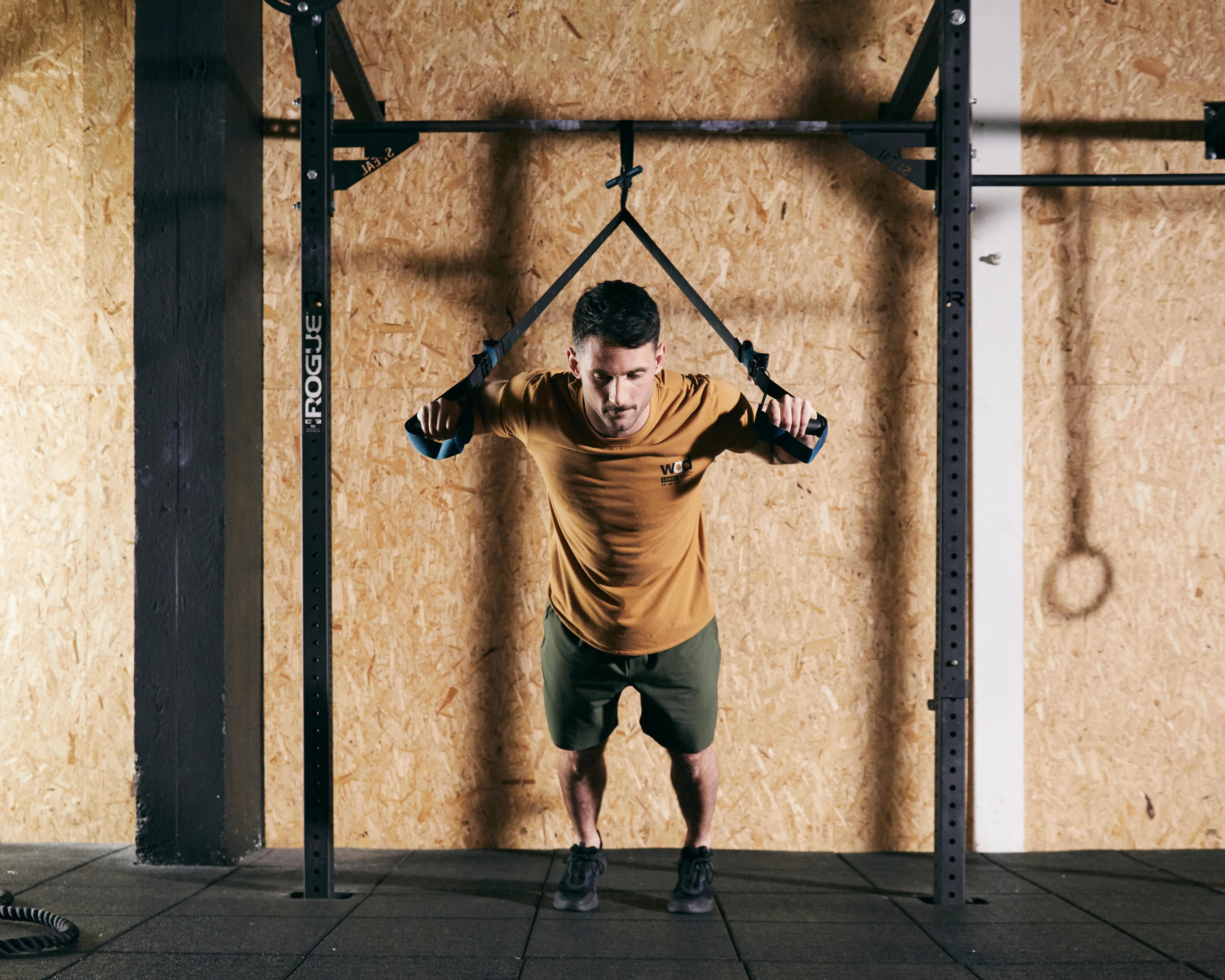 8815-weight-training-suspension-trainer-black-blue-1.jpg